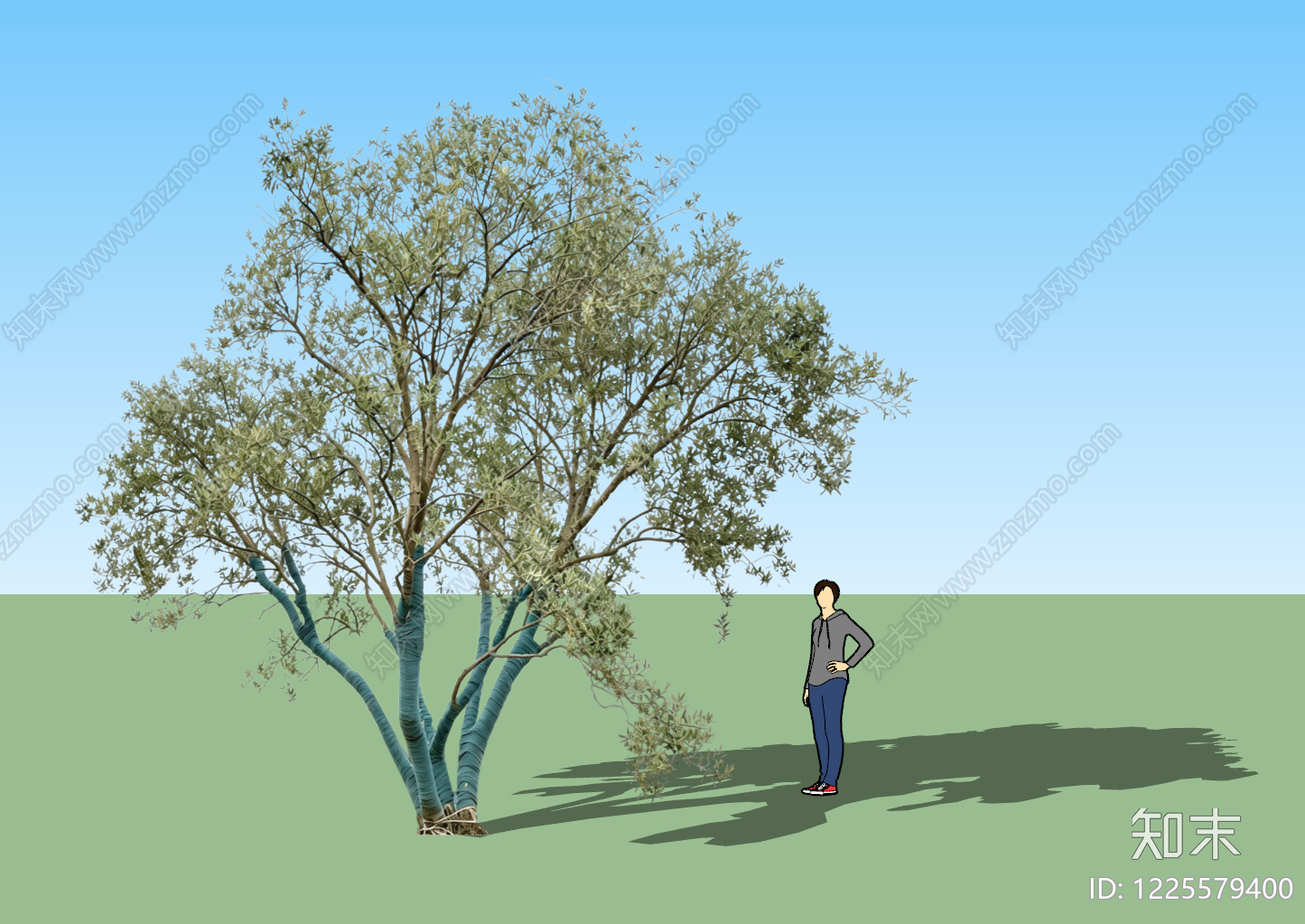 现代乔木SU模型下载【ID:1225579400】
