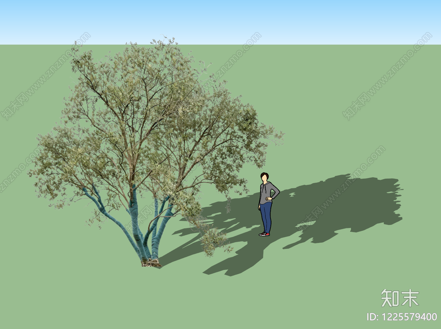 现代乔木SU模型下载【ID:1225579400】
