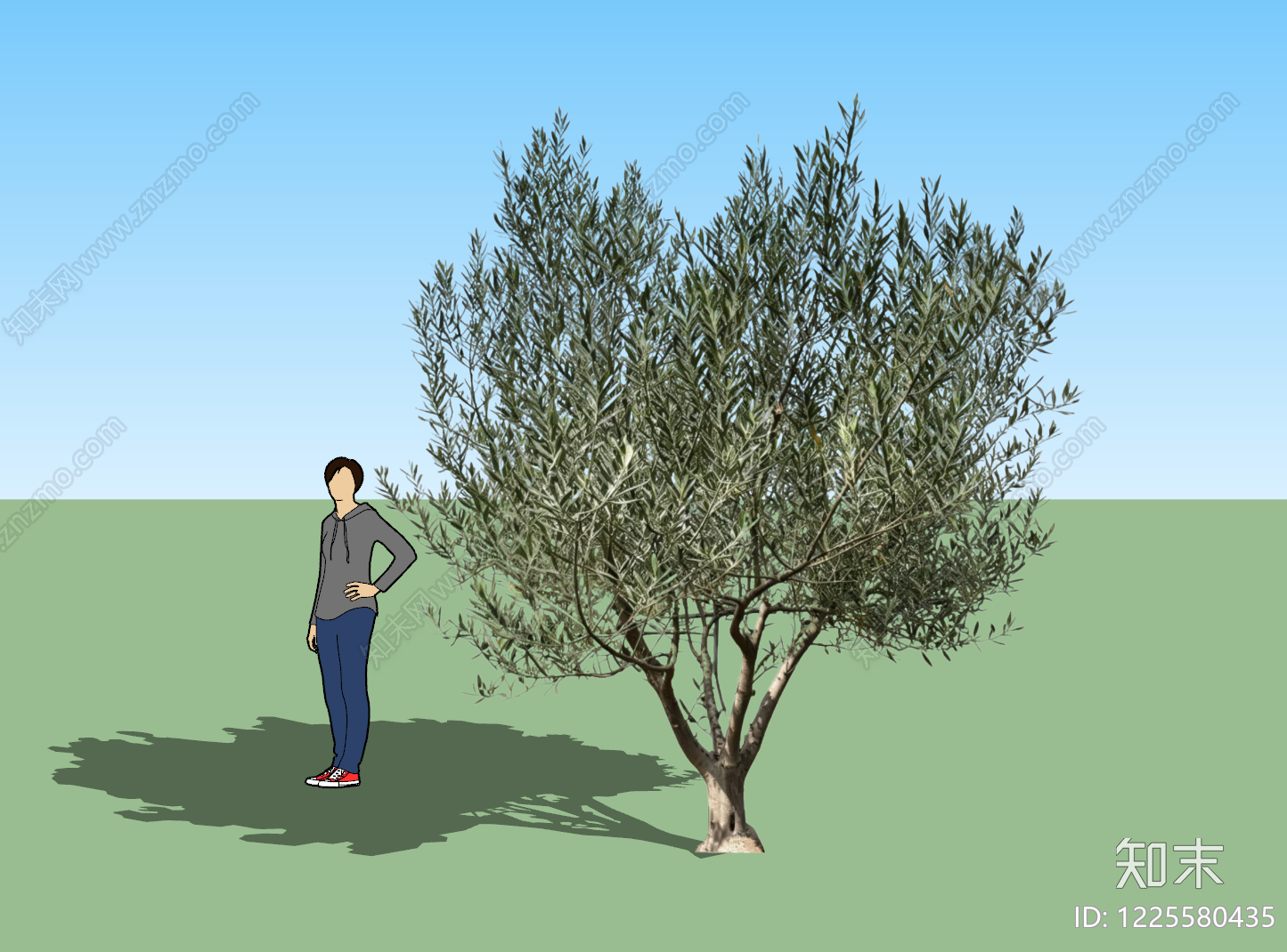 乔木SU模型下载【ID:1225580435】