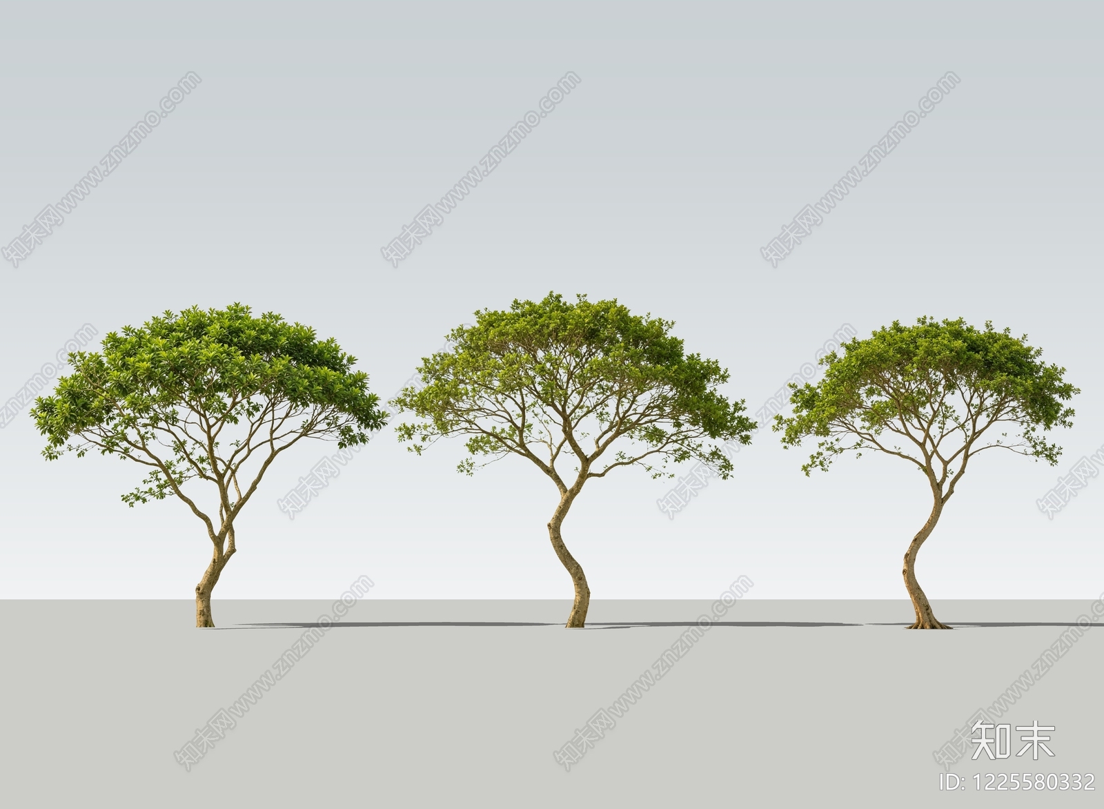 极简乔木SU模型下载【ID:1225580332】