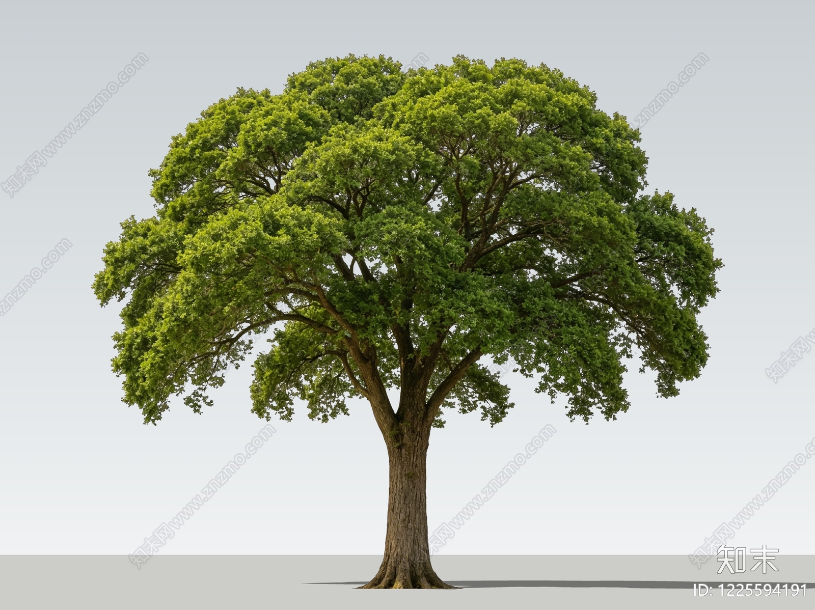 乔木SU模型下载【ID:1225594191】