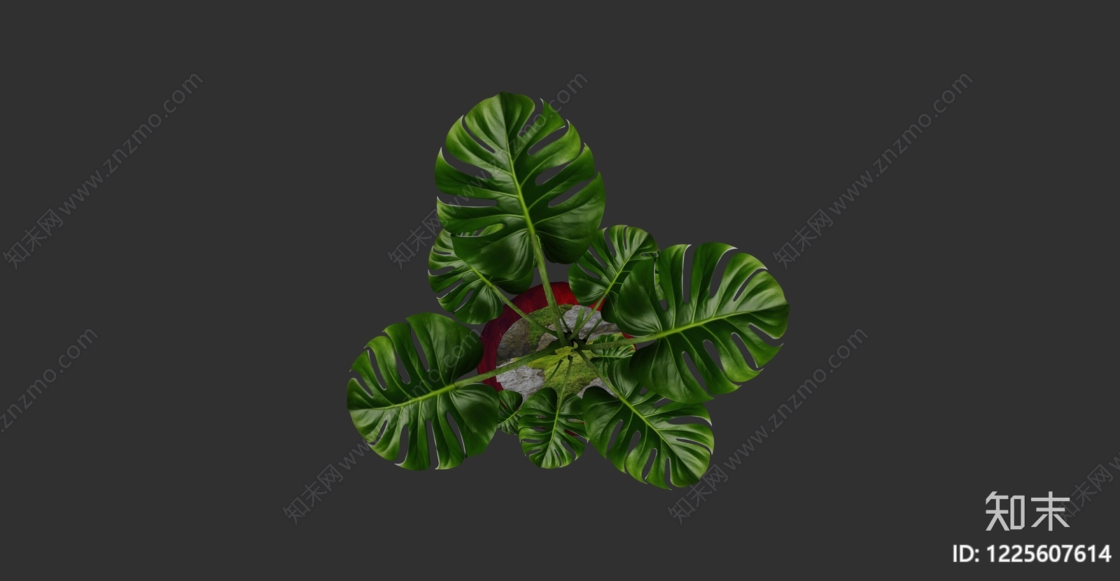 现代盆栽SU模型下载【ID:1225607614】