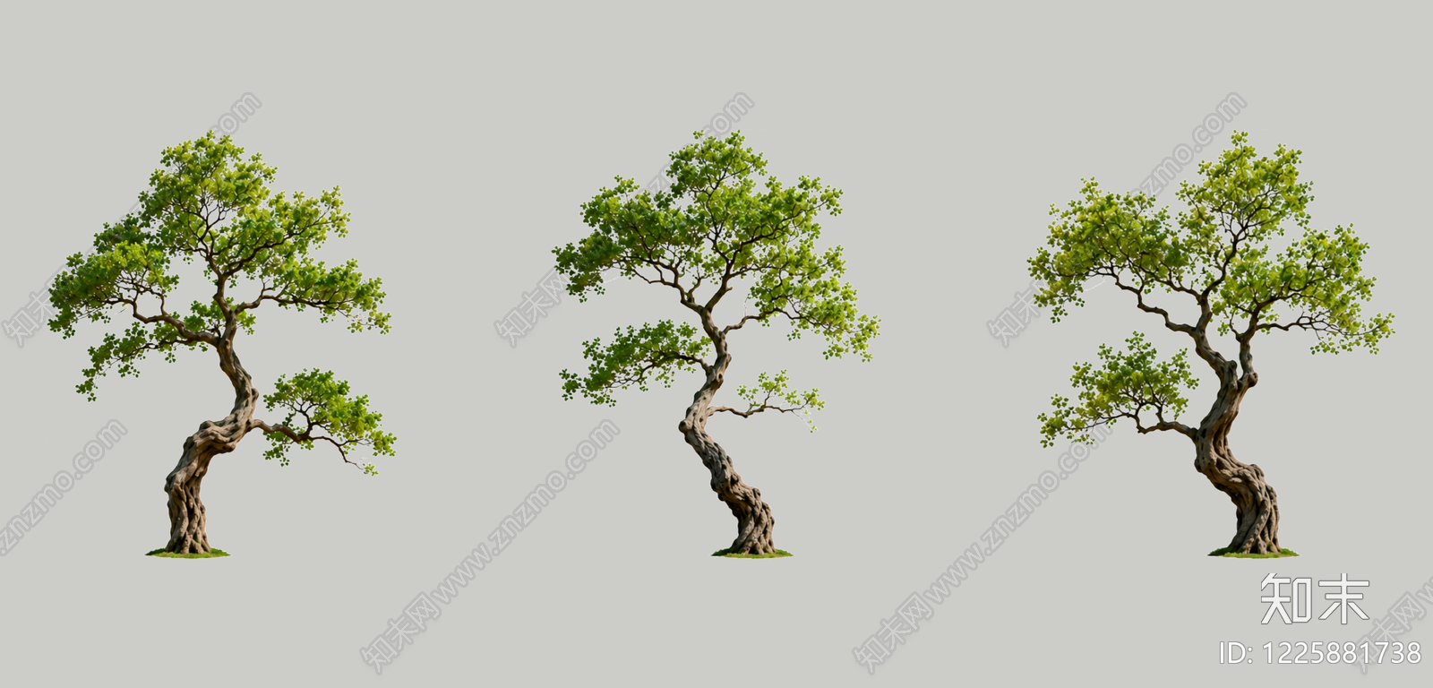 新中式景观乔木SU模型下载【ID:1225881738】