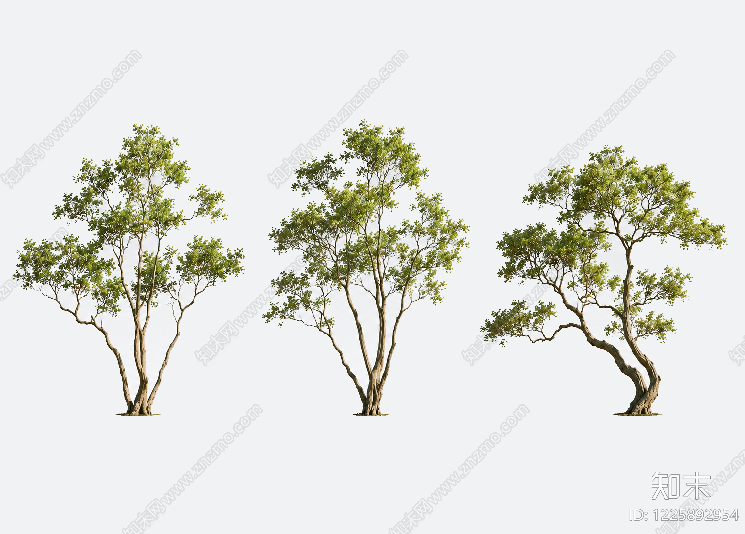 现代乔木SU模型下载【ID:1225892954】