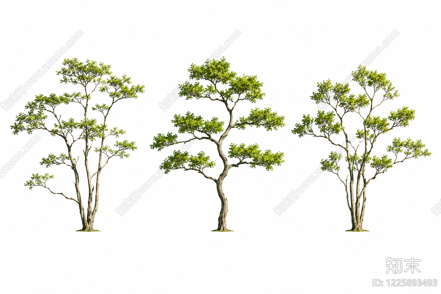 新中式景观乔木SU模型下载【ID:1225893493】