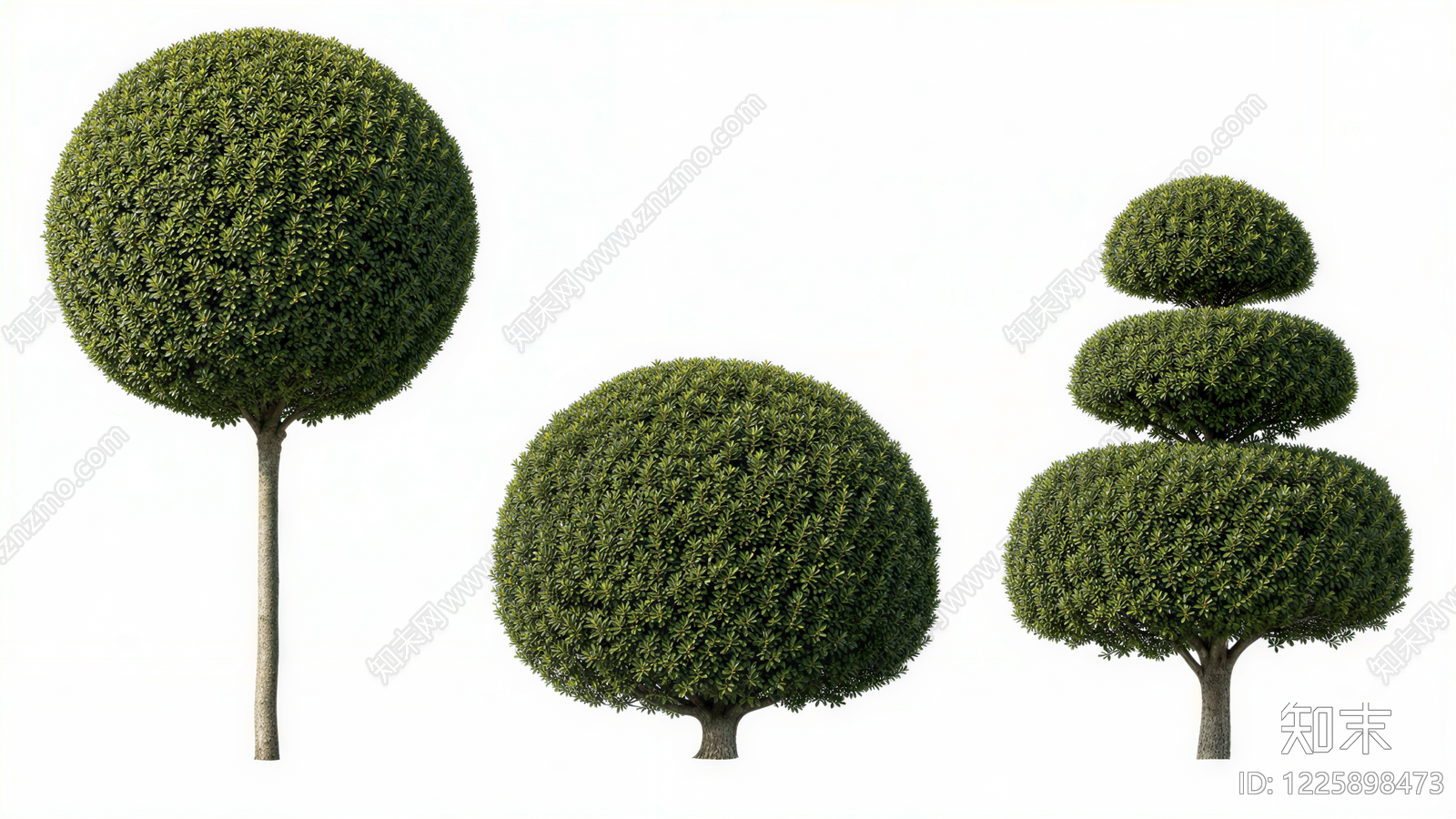 极简灌木SU模型草图