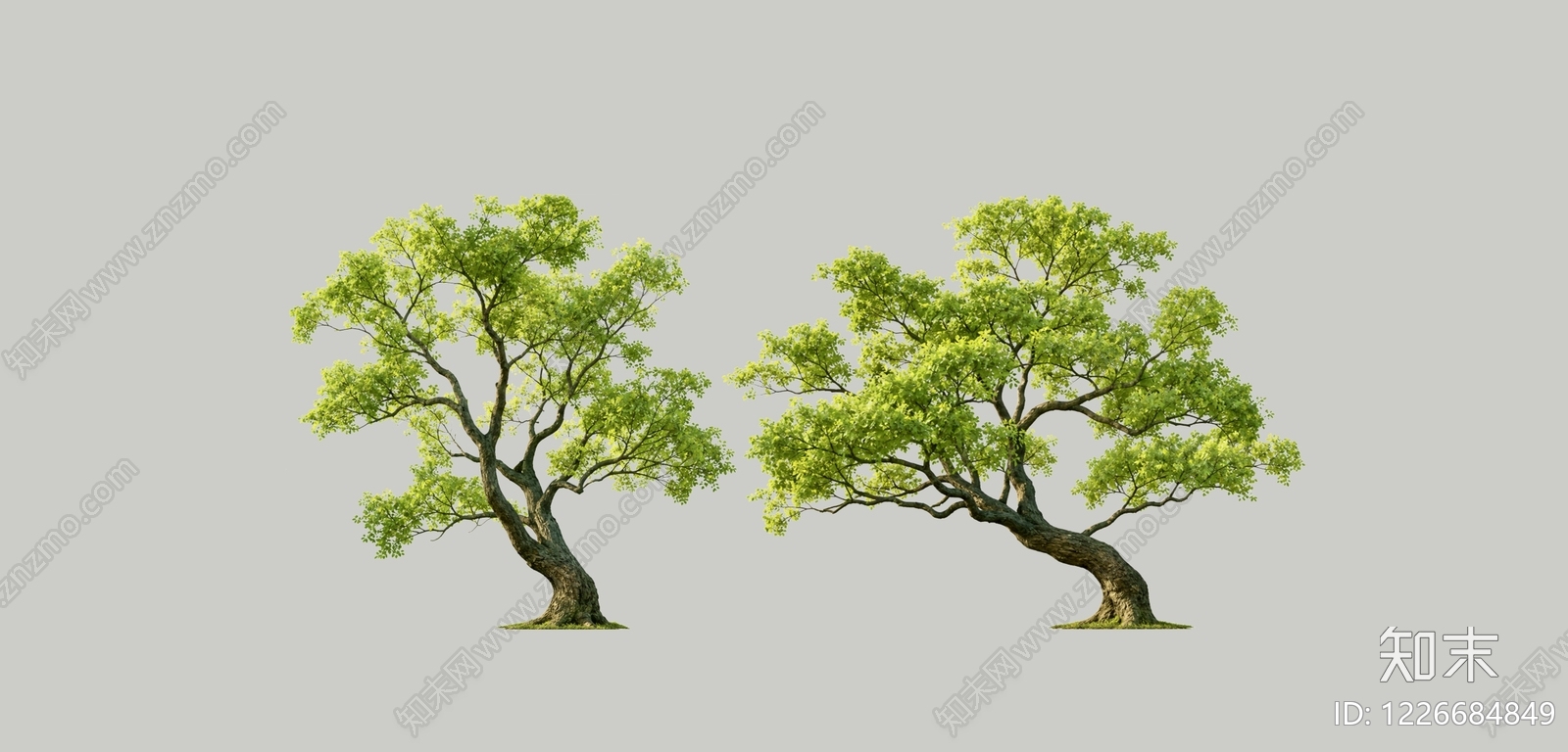 新中式景观乔木SU模型下载【ID:1226684849】