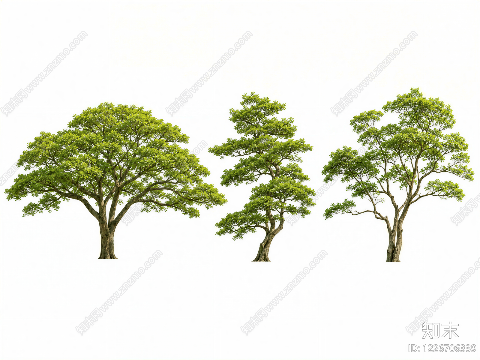 极简乔木SU模型下载【ID:1226706339】