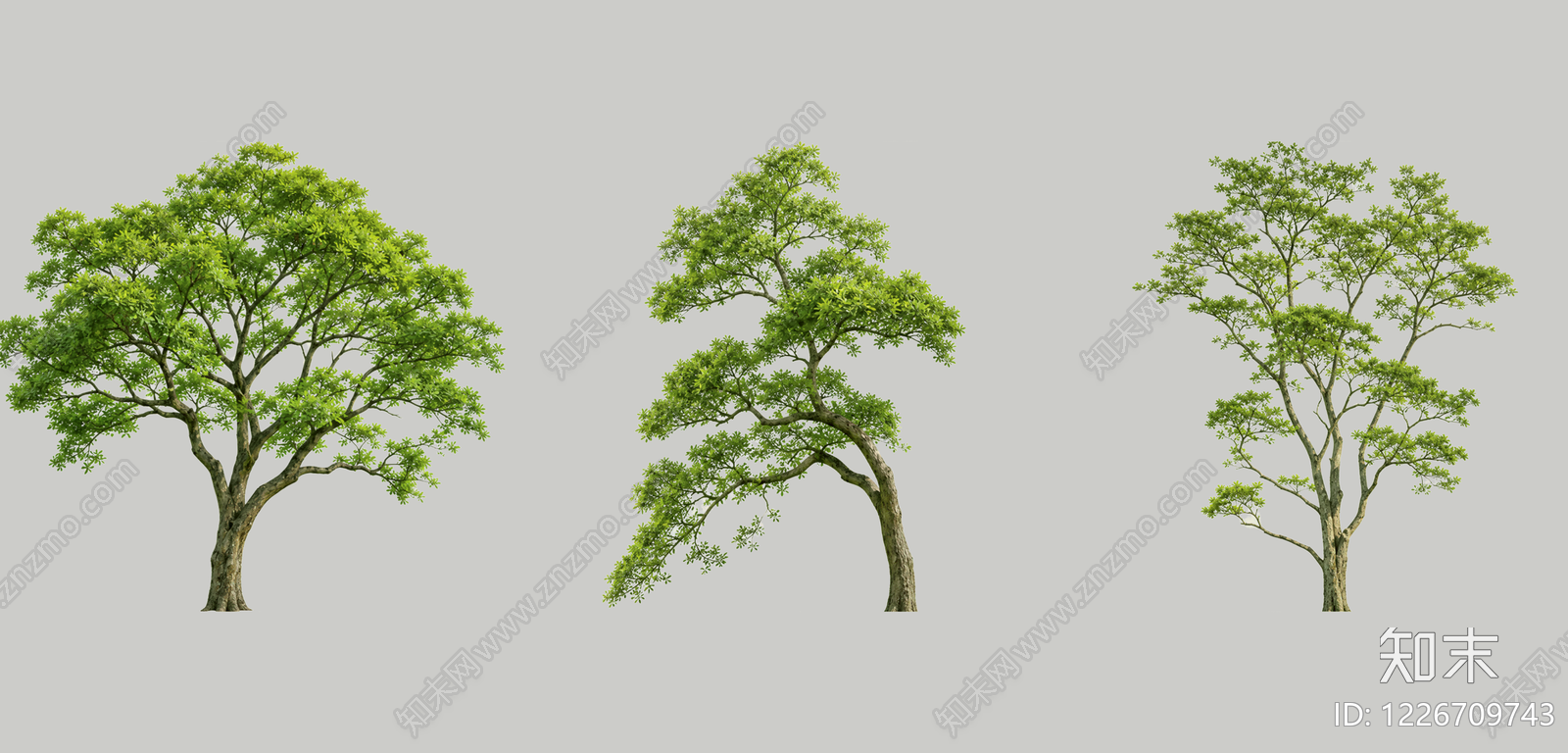 现代乔木SU模型下载【ID:1226709743】