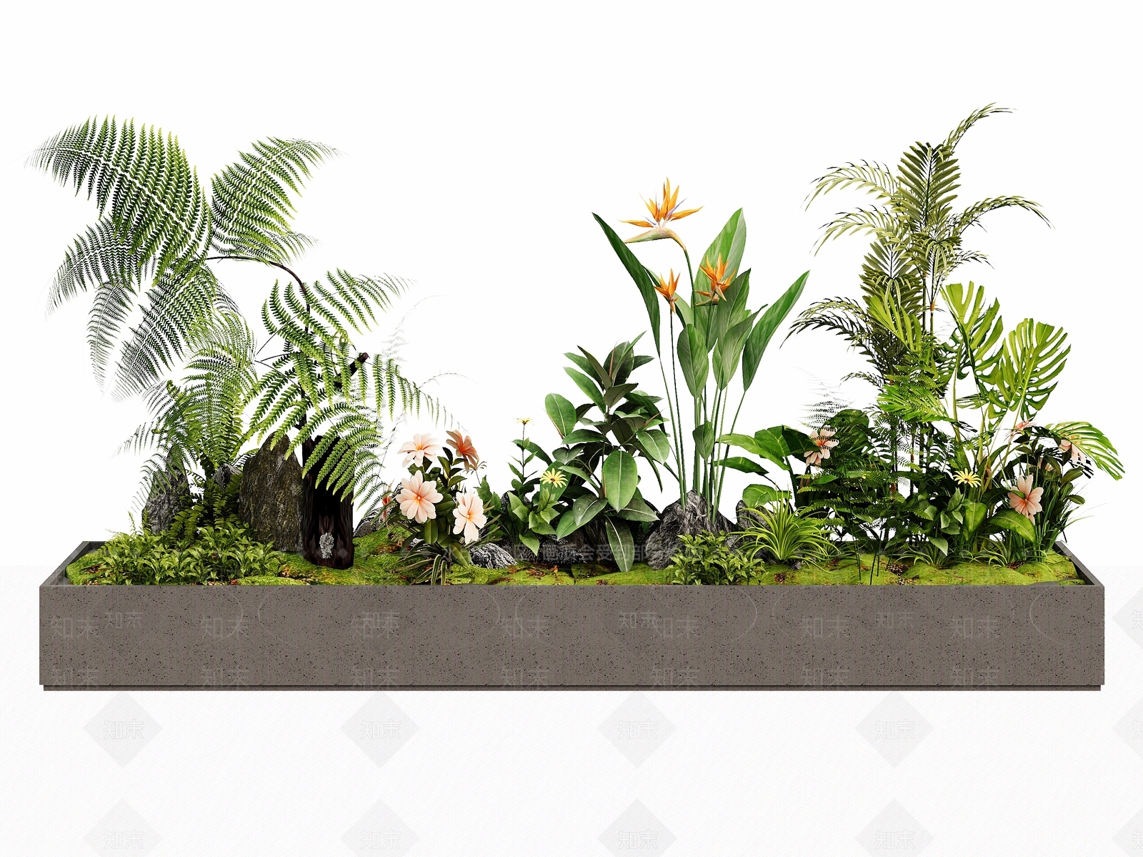现代花草组合3D模型渲染效果图