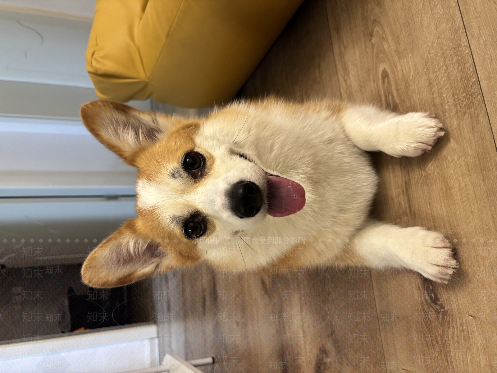 奶油风主卧3D模型下载【ID:1227908317】