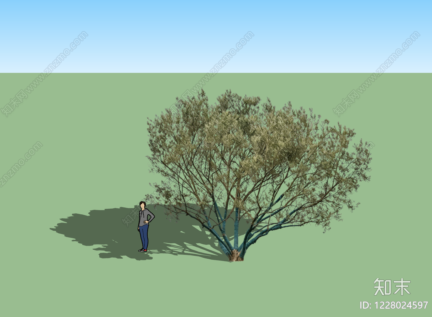 现代乔木SU模型下载【ID:1228024597】
