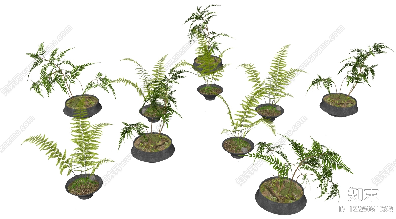 禅意草本植物SU模型下载【ID:1228051088】