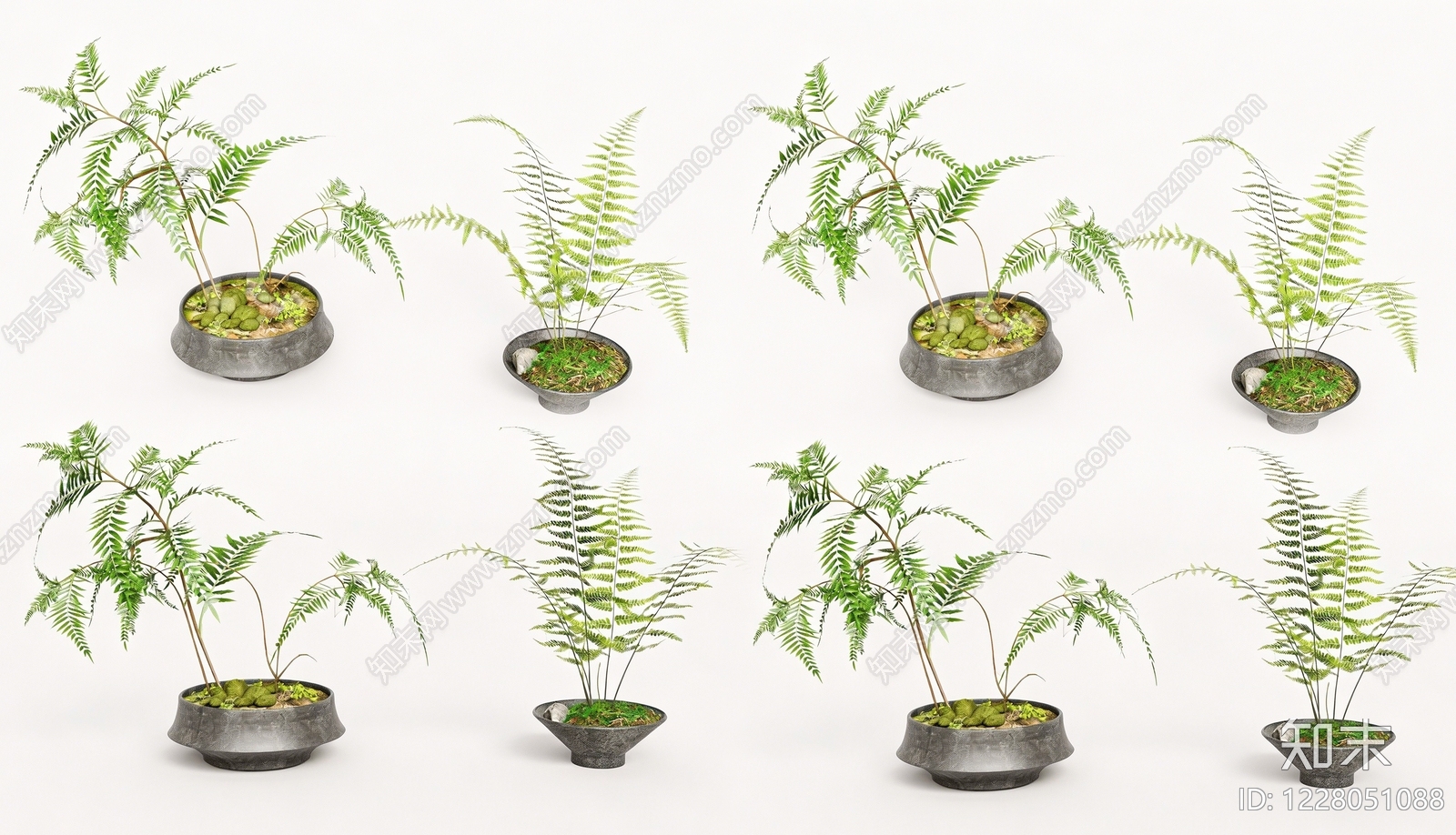 禅意草本植物SU模型下载【ID:1228051088】