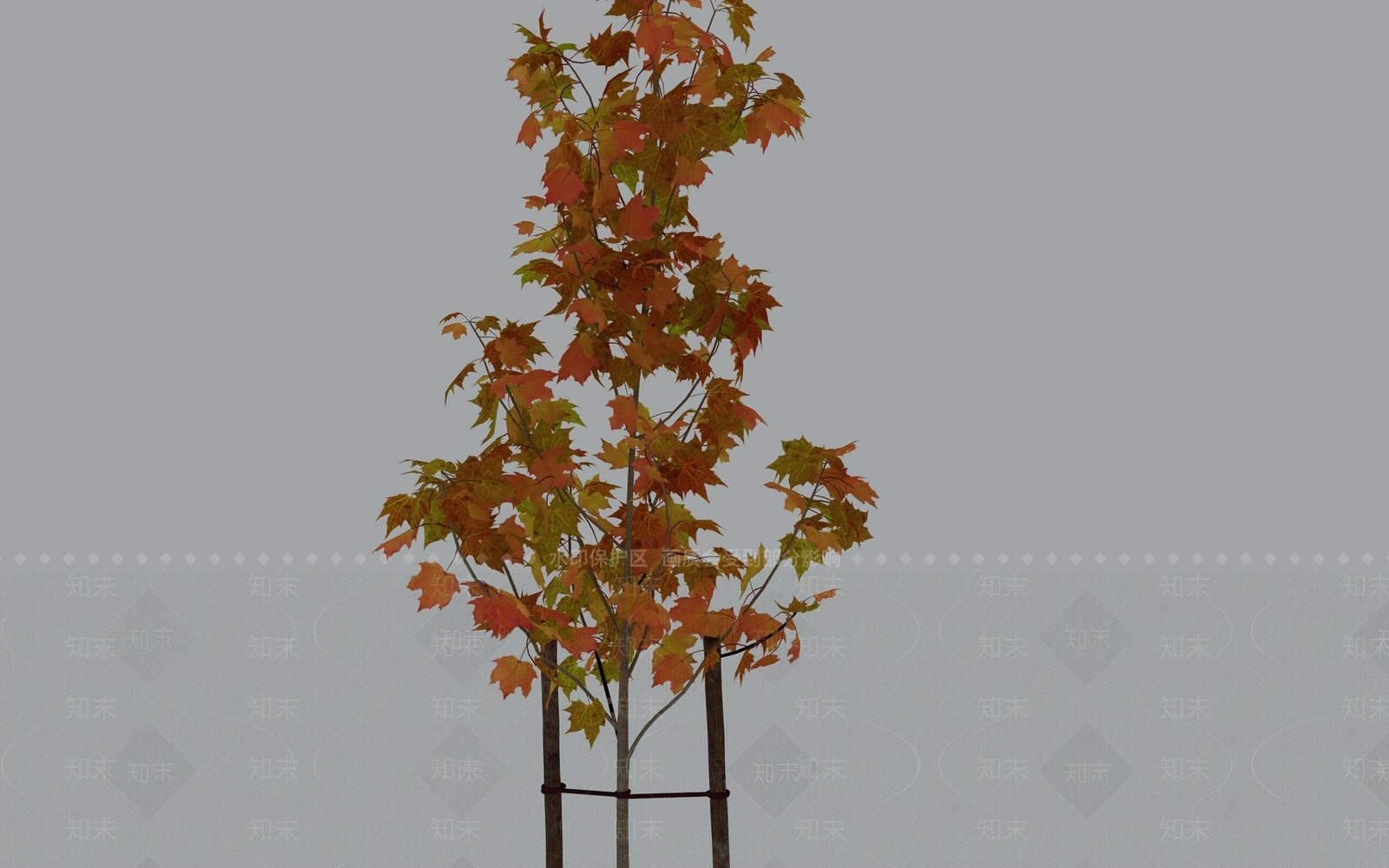 乔木3D模型下载【ID:1228057076】
