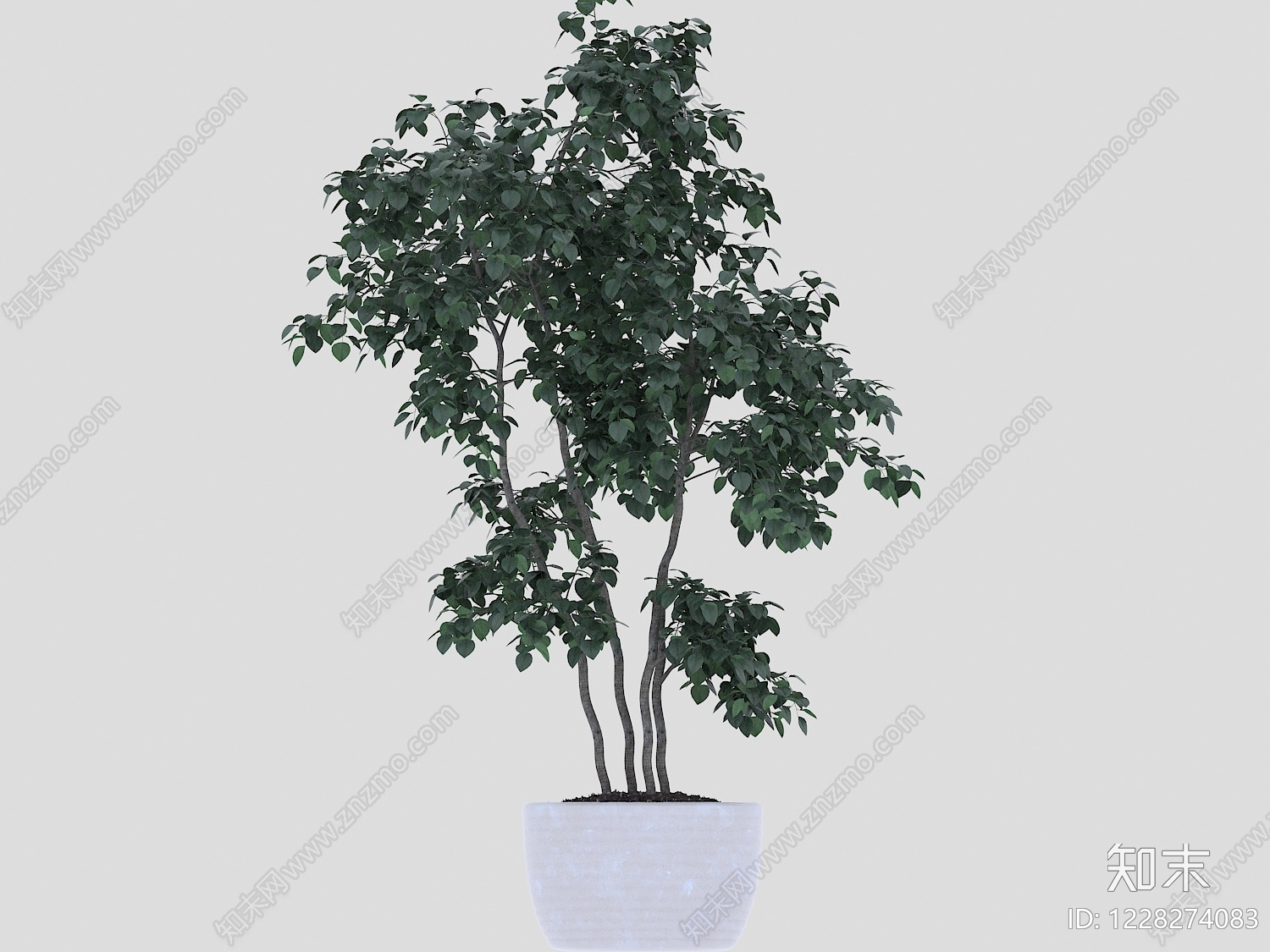 极简盆栽3D模型下载【ID:1228274083】