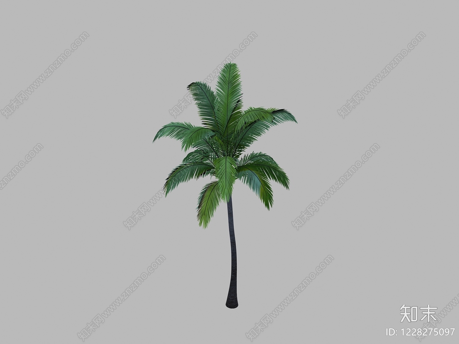 景观树3D模型下载【ID:1228275097】