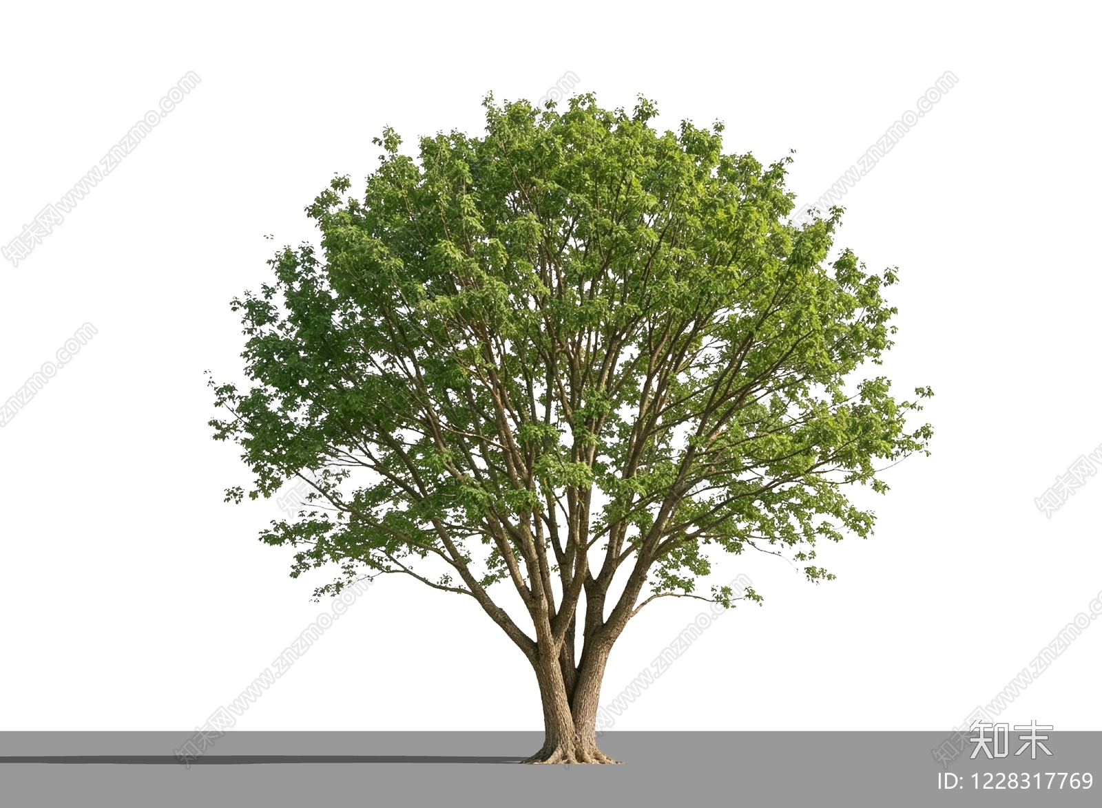 乔木SU模型下载【ID:1228317769】