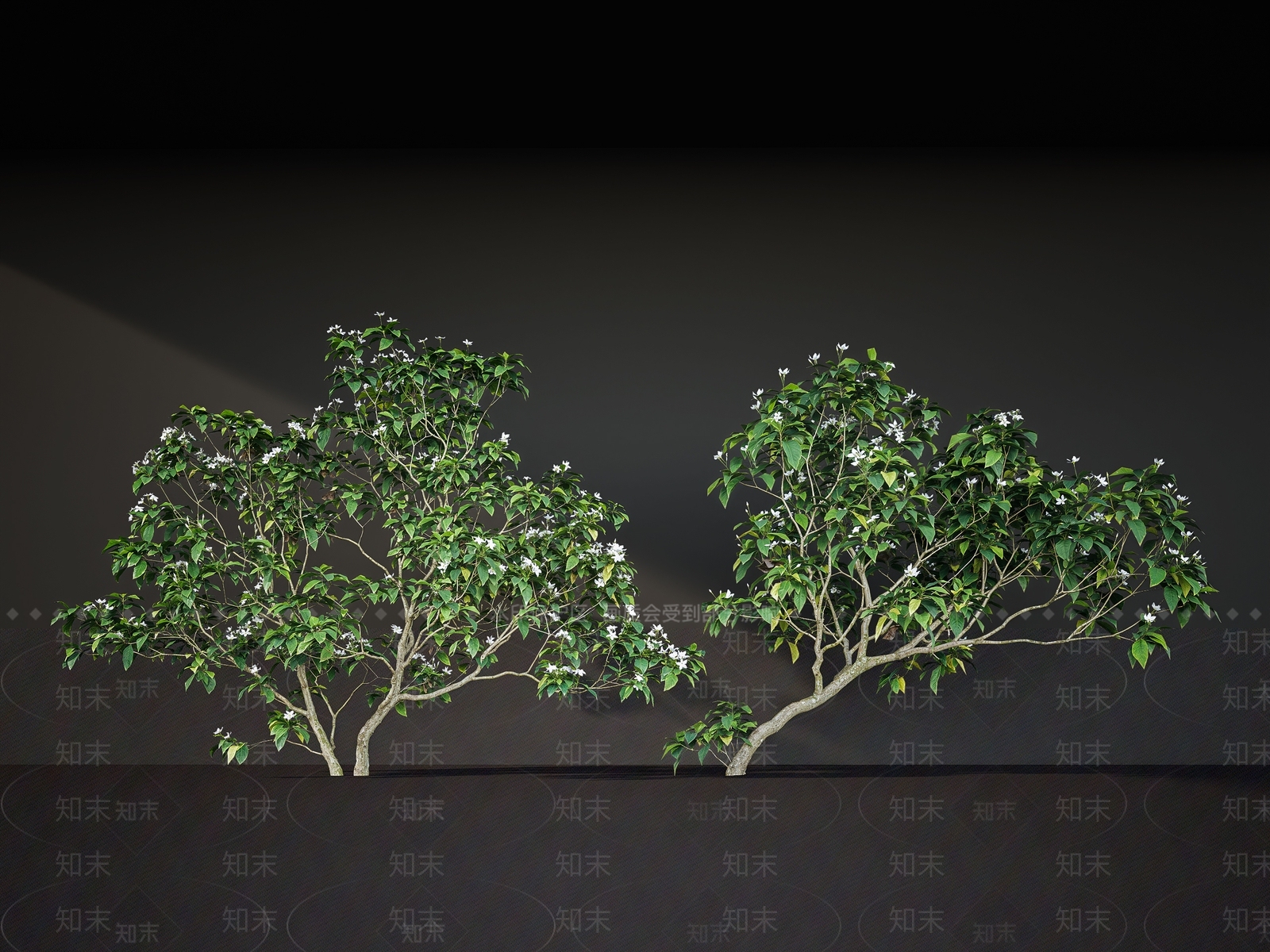 灌木SU模型下载【ID:1228377470】