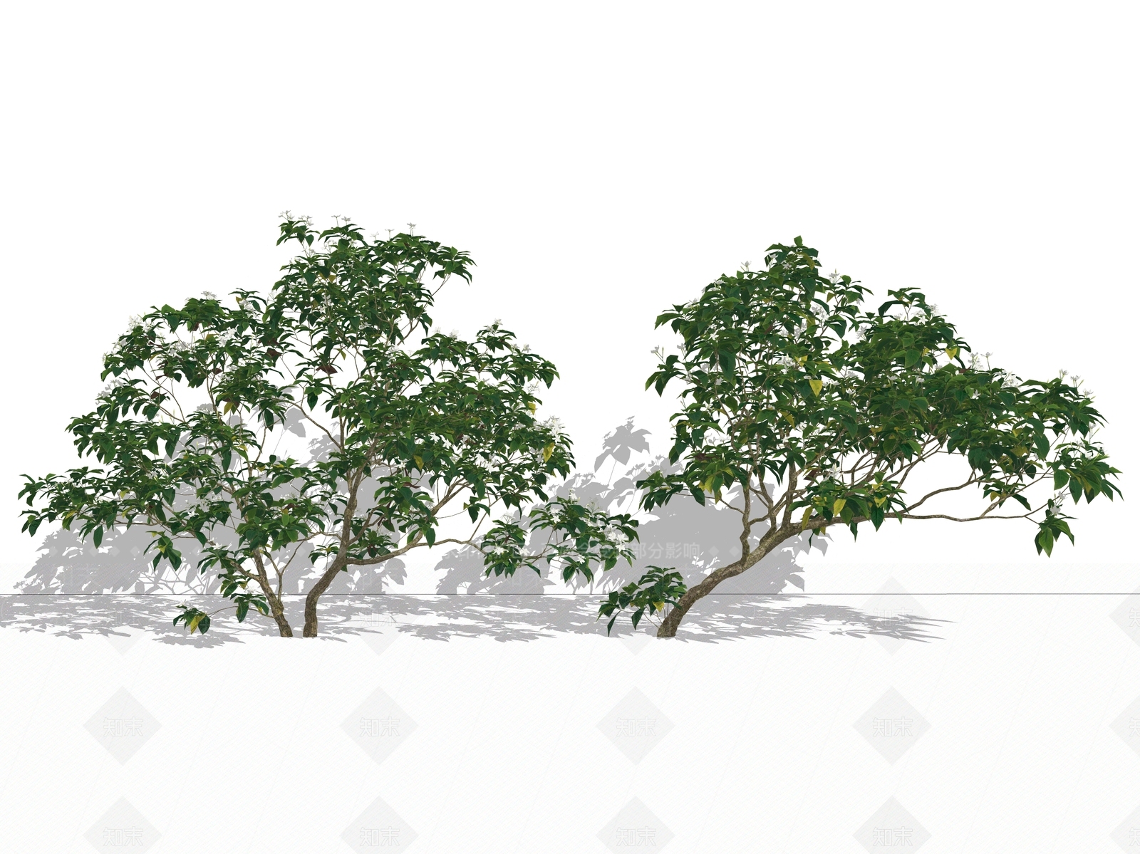 灌木SU模型下载【ID:1228377470】