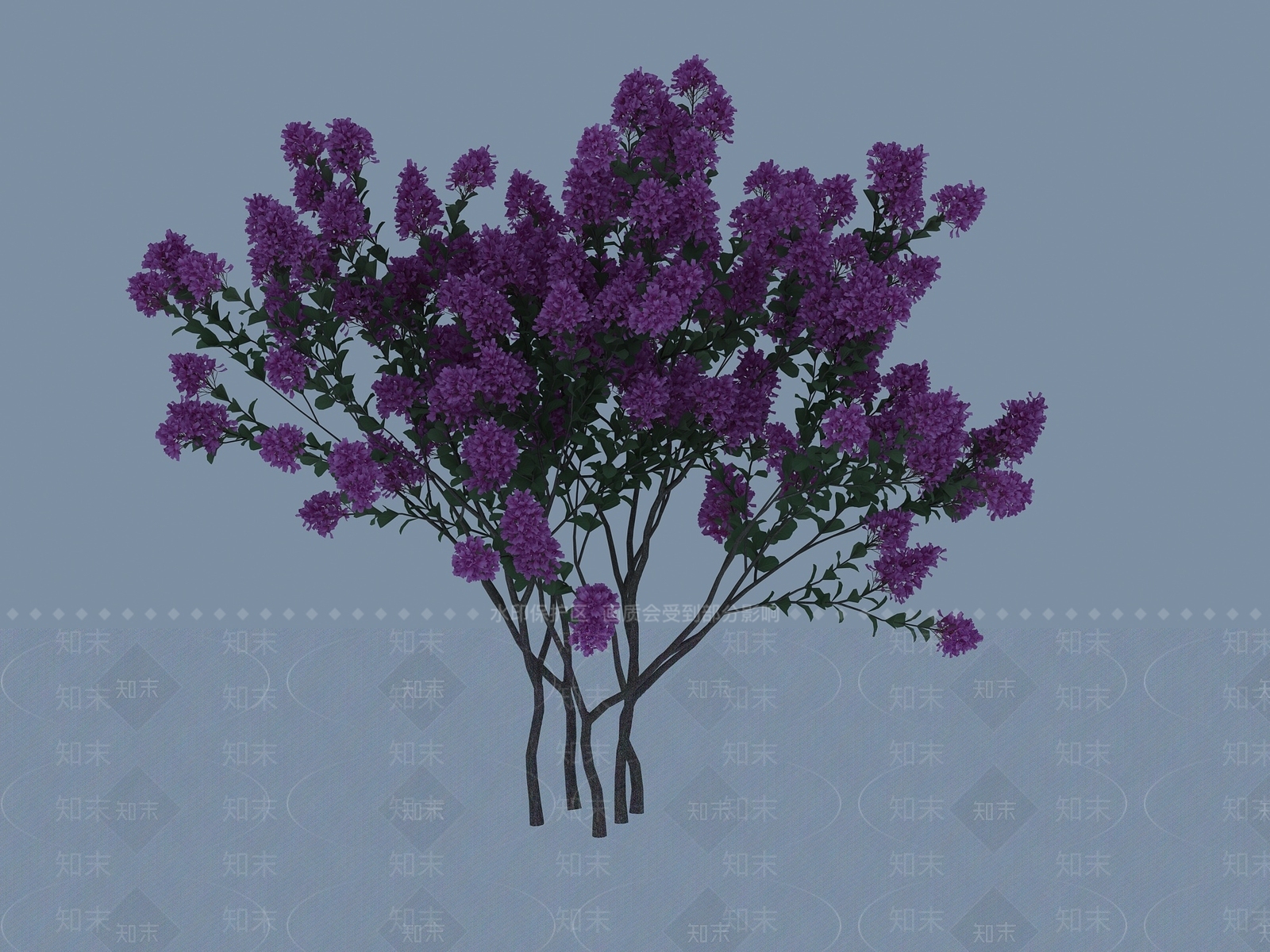 灌木3D模型渲染效果图