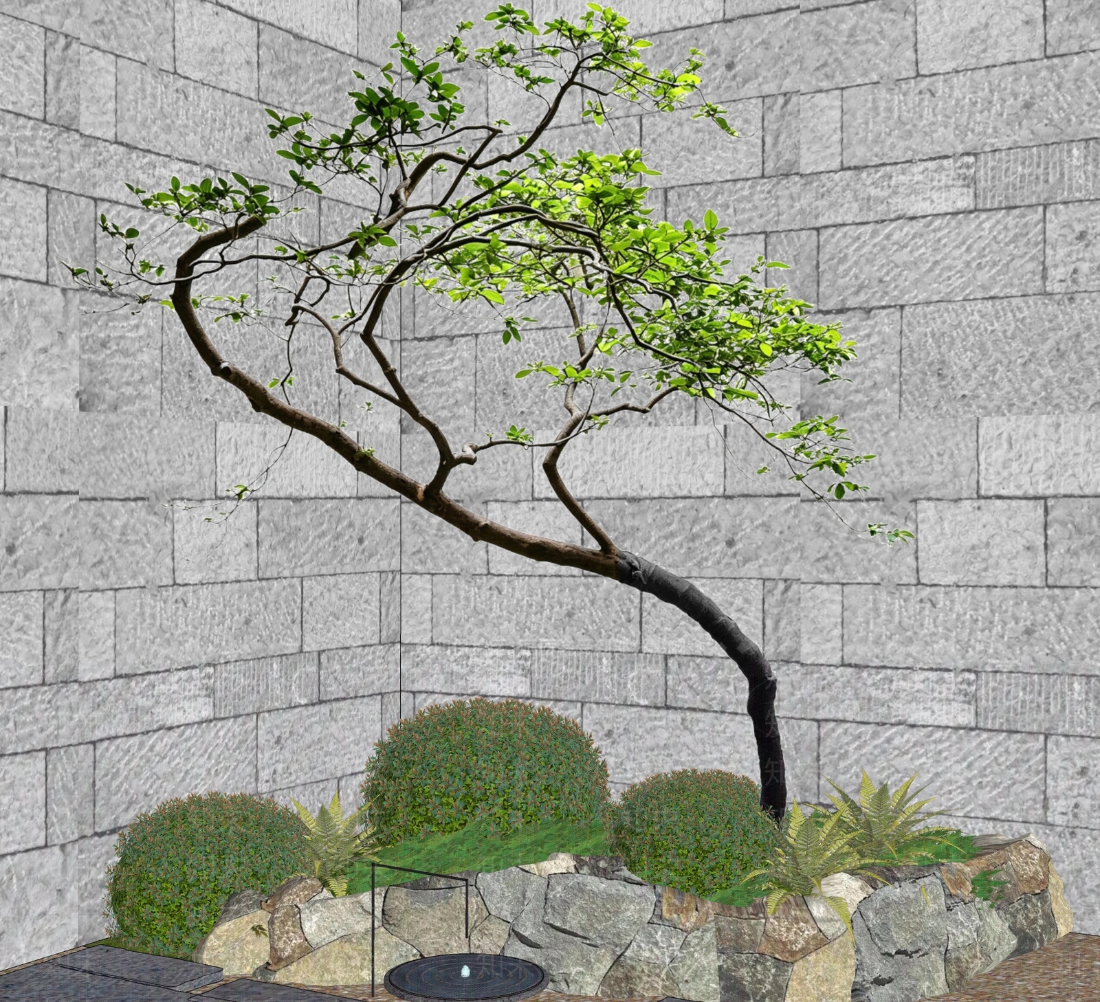 禅意乔木SU模型下载【ID:1228383703】