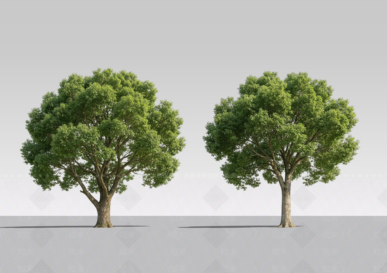 乔木SU模型下载【ID:1228402114】