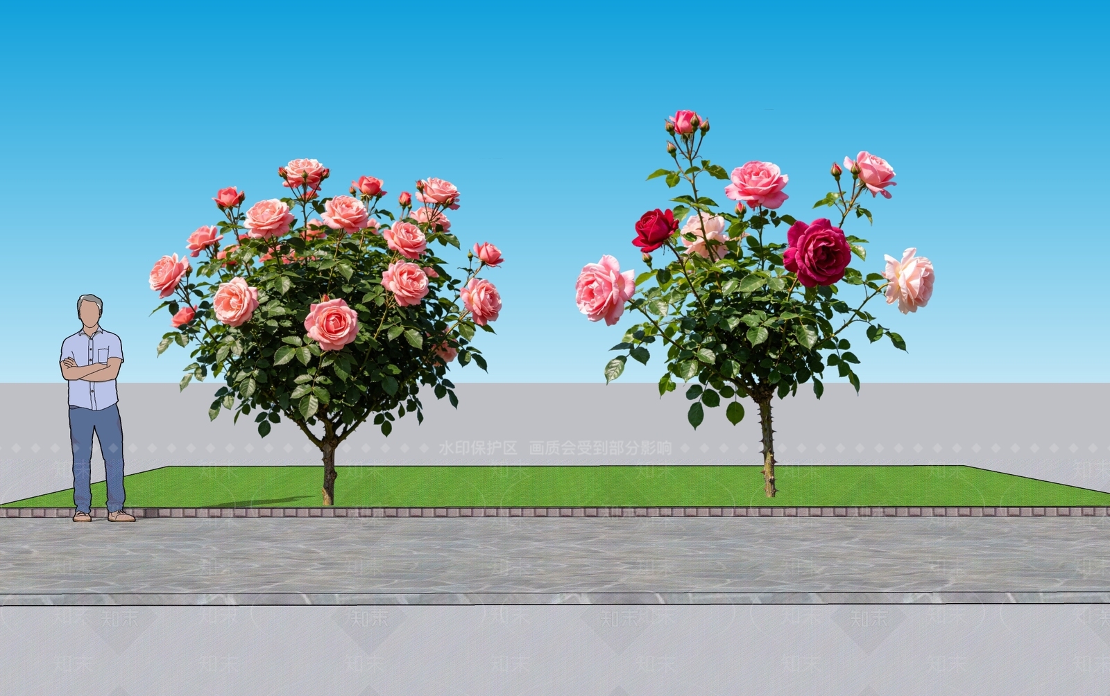 现代主义灌木SU模型下载【ID:1228460472】