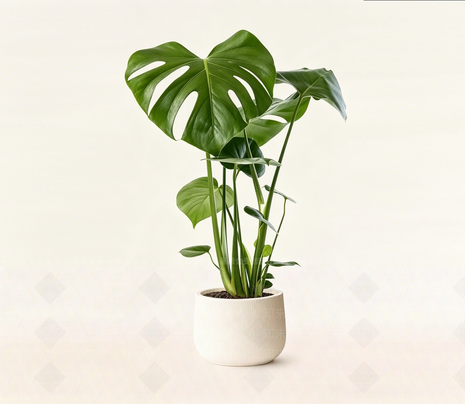 奶油风盆栽3D模型下载【ID:1228505091】