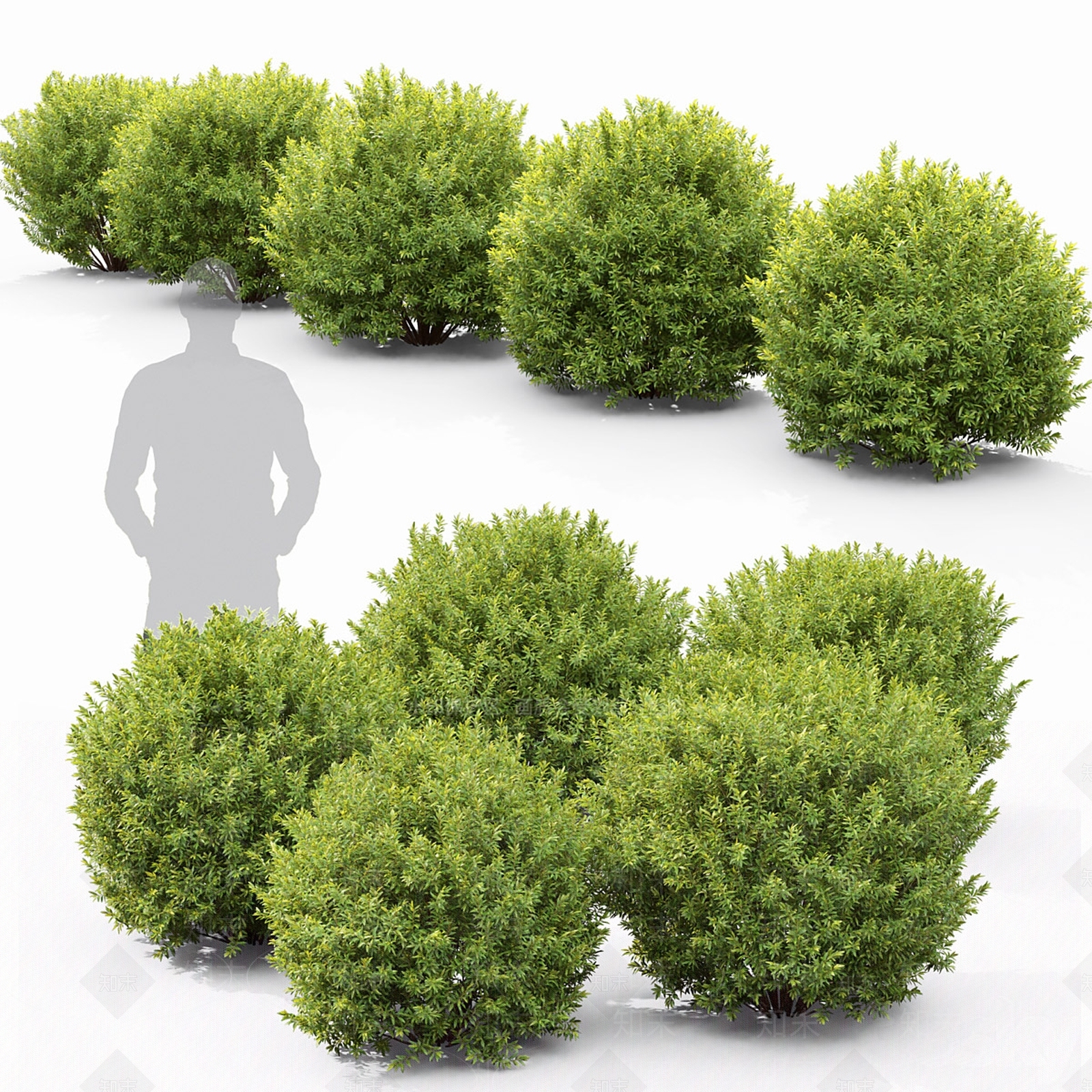 灌木SU模型下载【ID:1228512794】