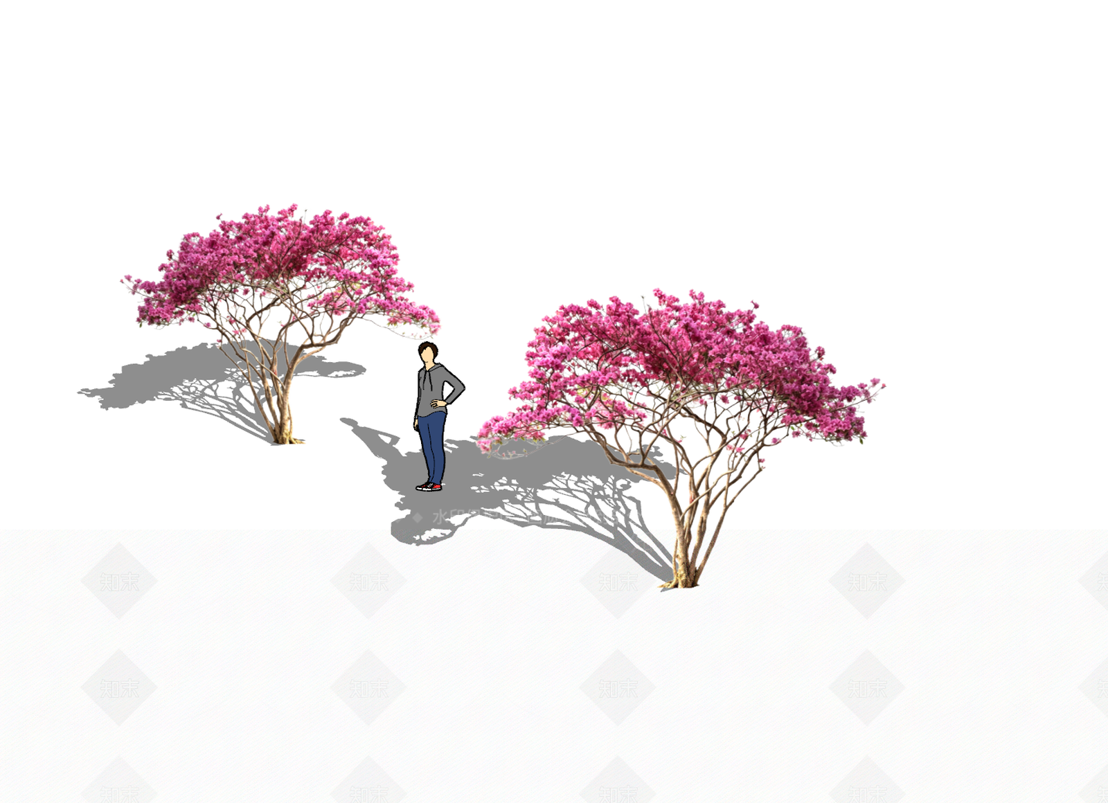 现代灌木SU模型下载【ID:1228529014】
