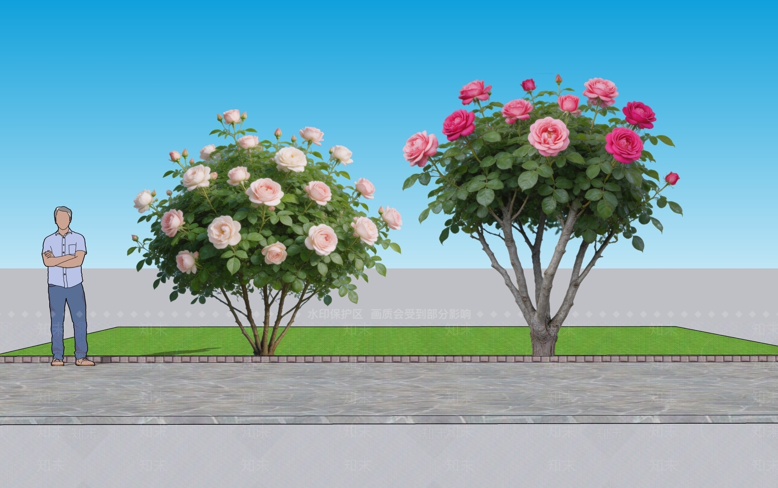 现代主义灌木SU模型下载【ID:1228651705】