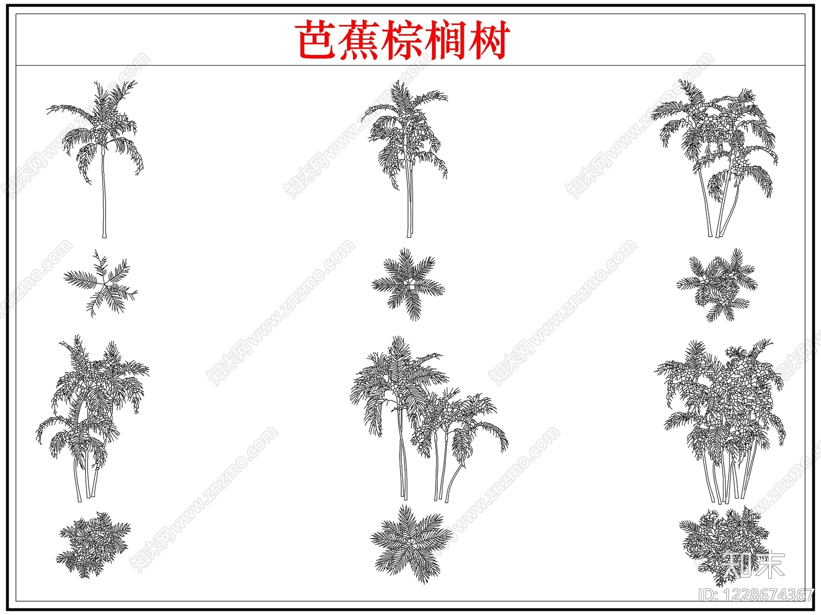 乔木种植CAD图纸