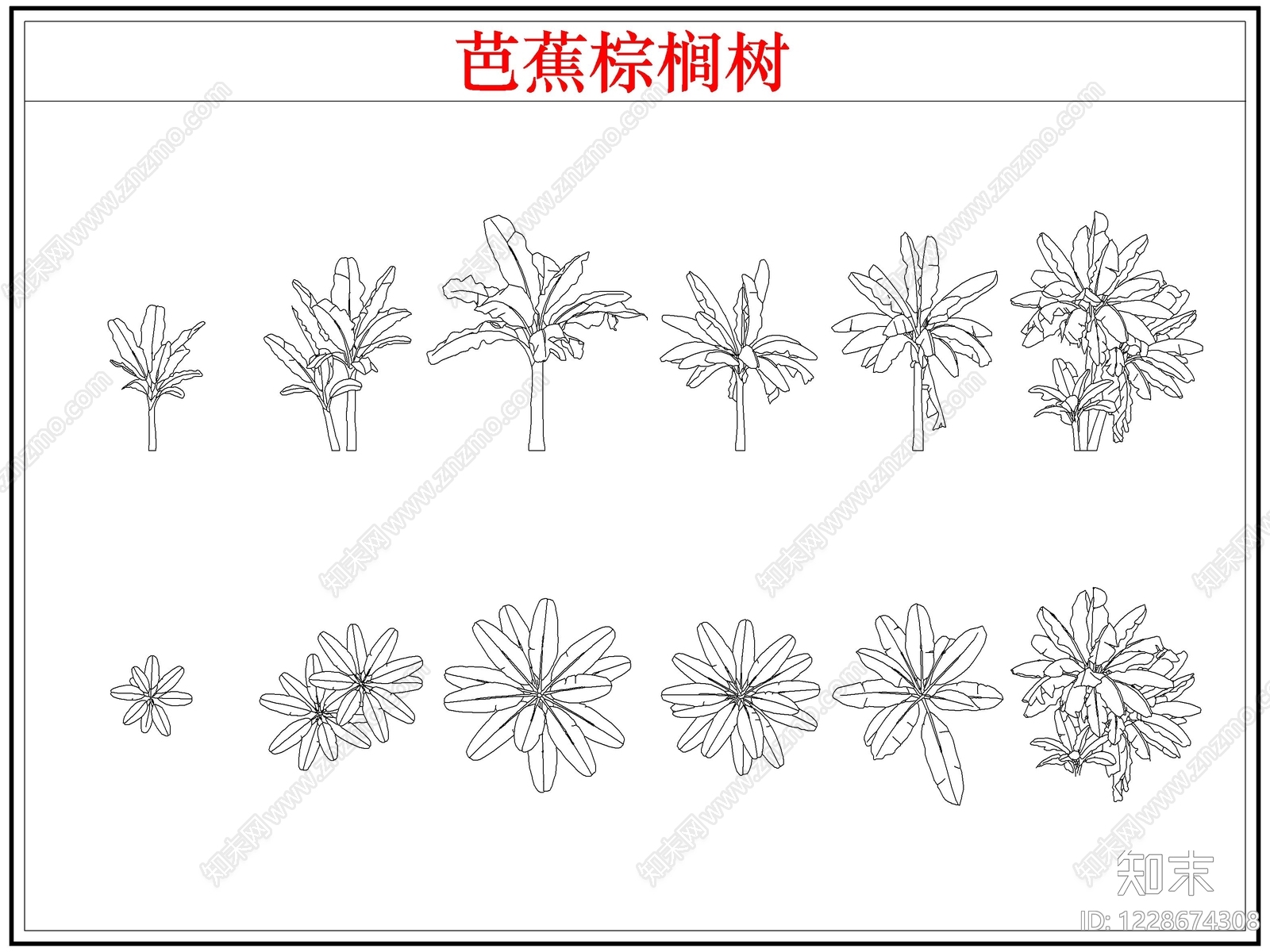 乔木种植CAD图纸