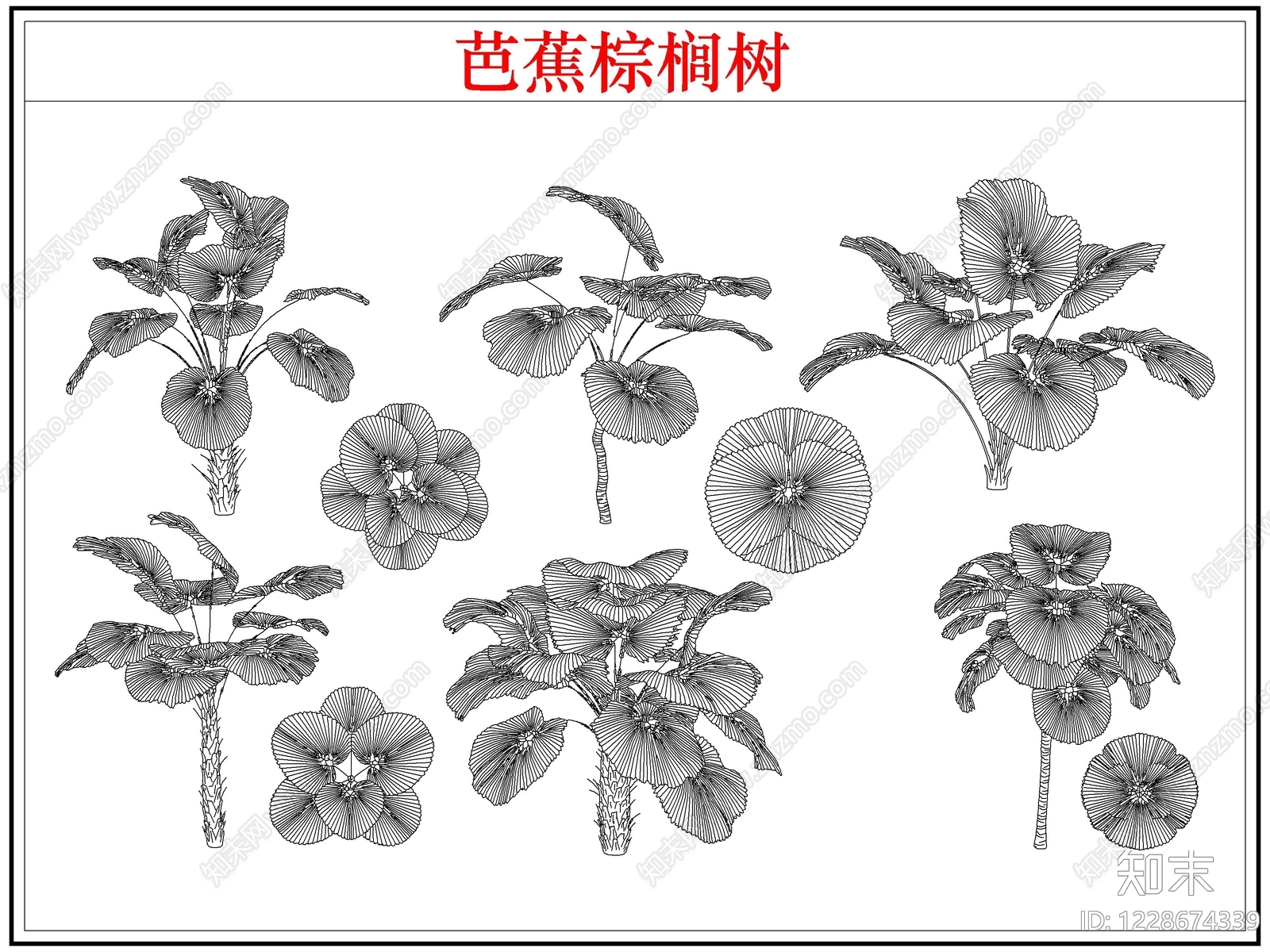 乔木种植CAD图纸