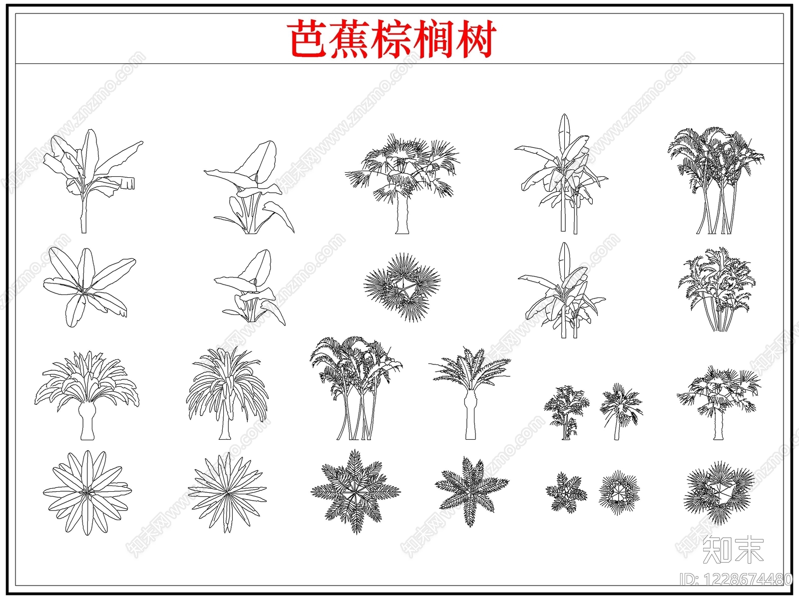 乔木种植CAD图纸