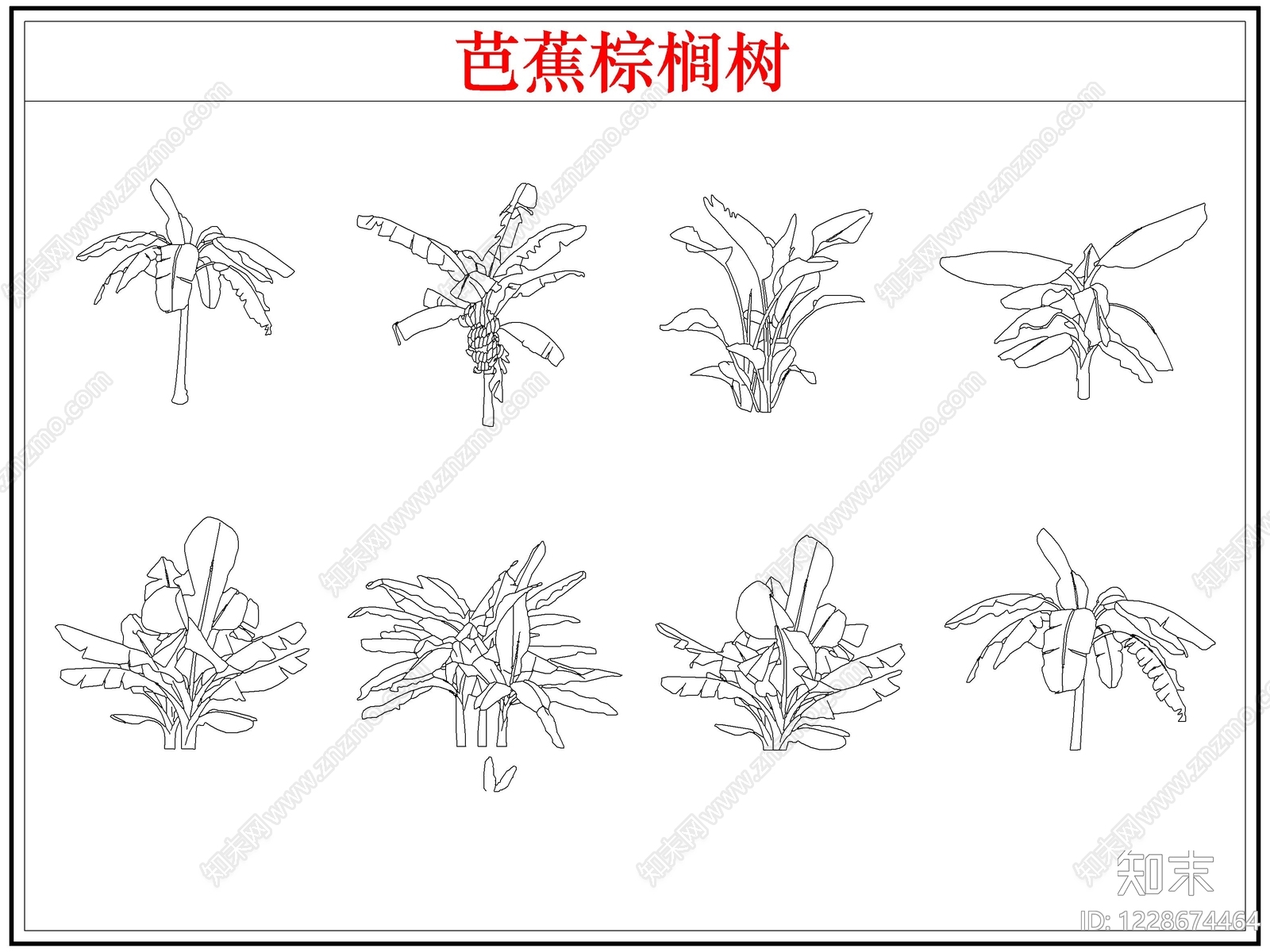乔木种植CAD图纸