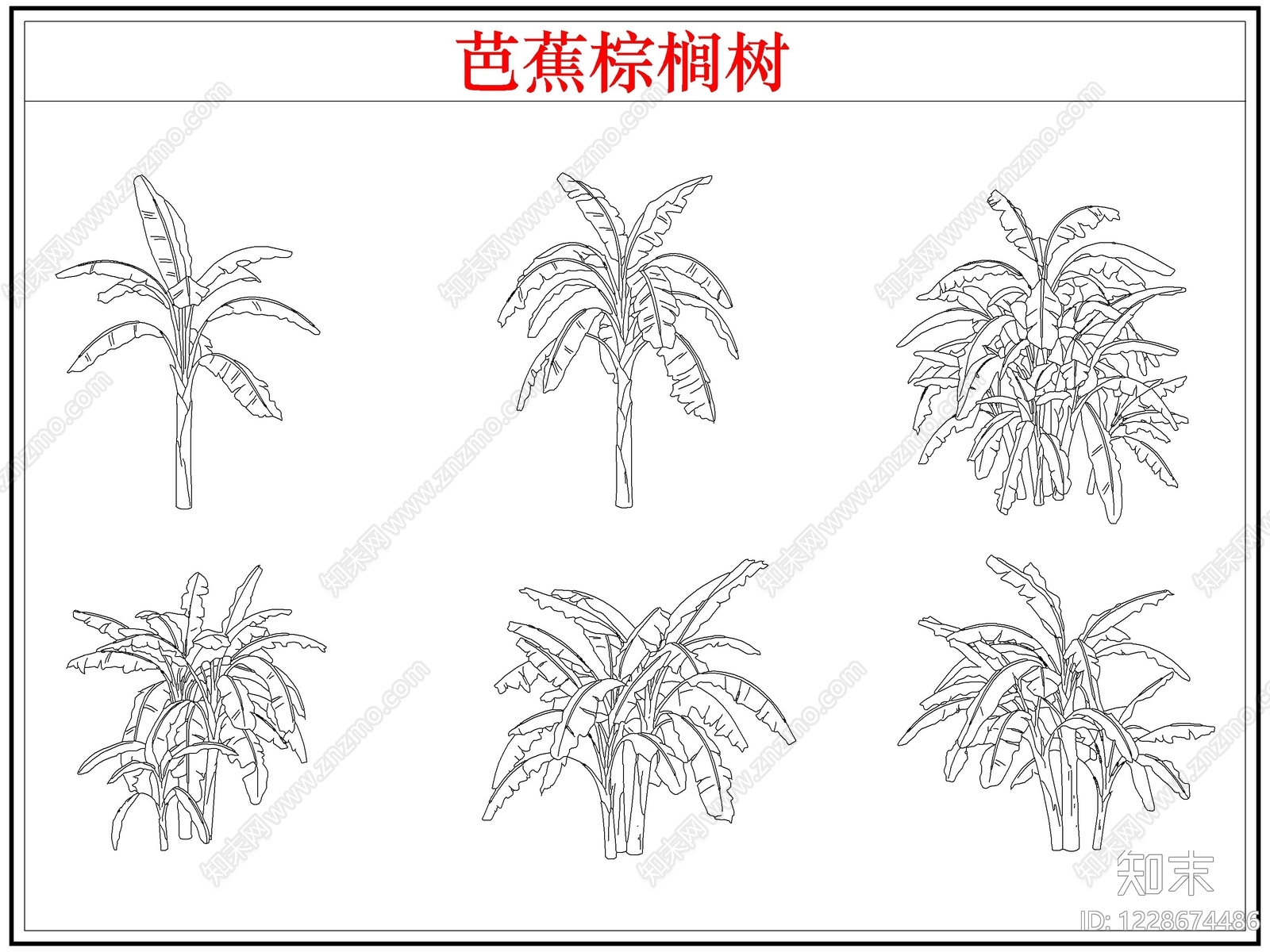 乔木种植CAD图纸