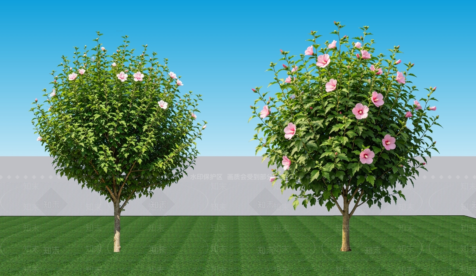 现代主义灌木SU模型下载【ID:1228675861】