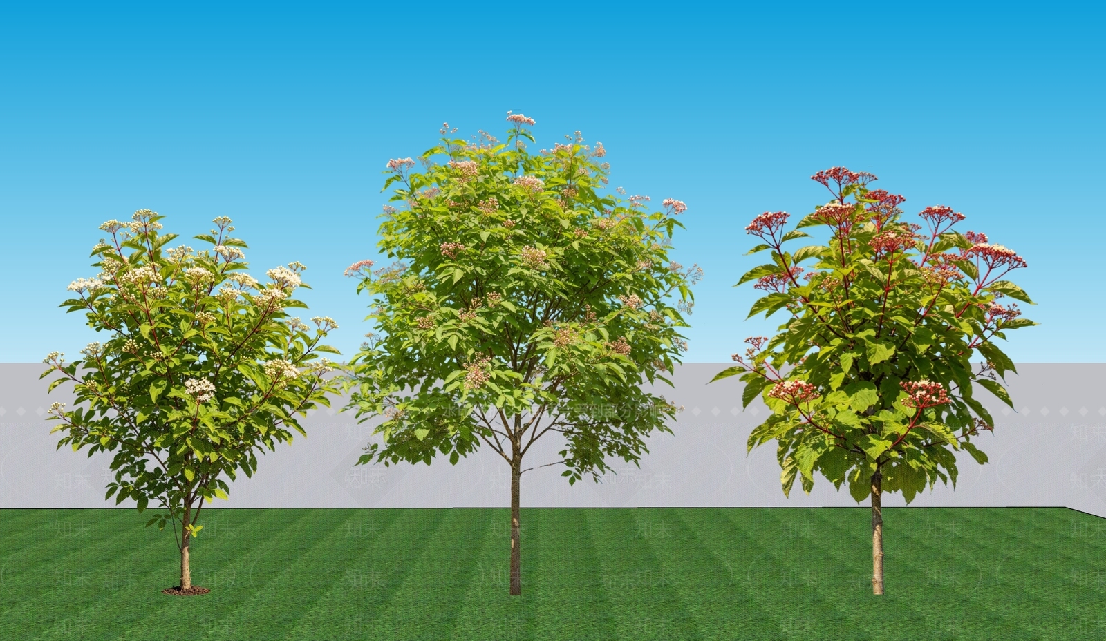 现代主义灌木SU模型下载【ID:1228679018】
