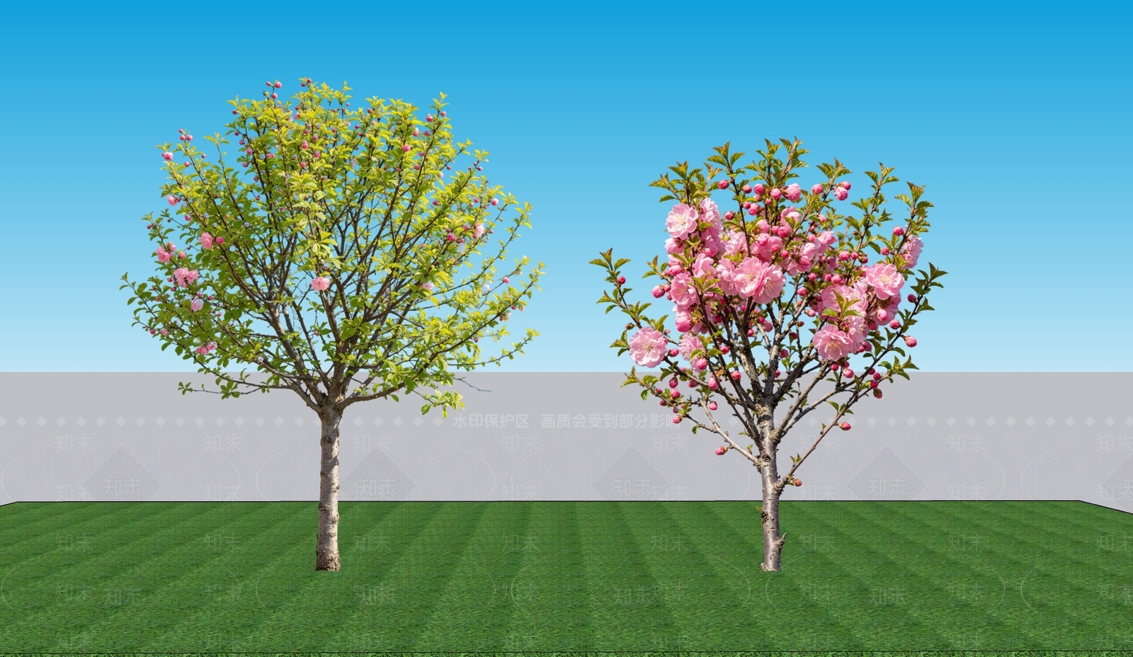 灌木SU模型下载【ID:1228680129】