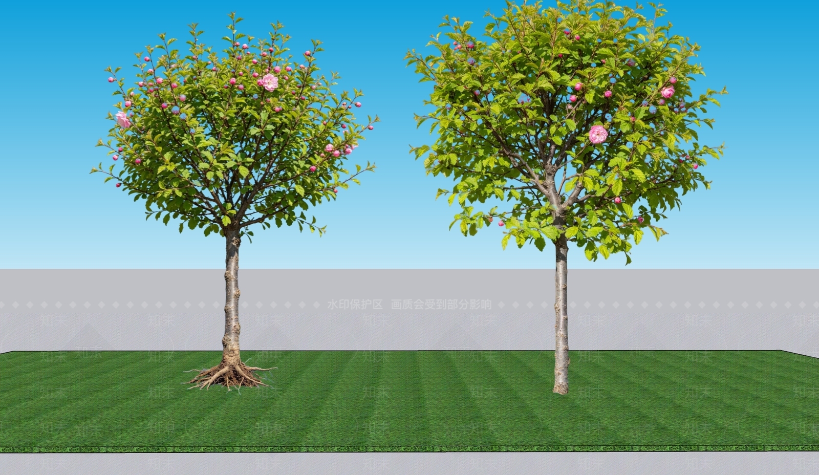现代主义灌木SU模型下载【ID:1228680229】
