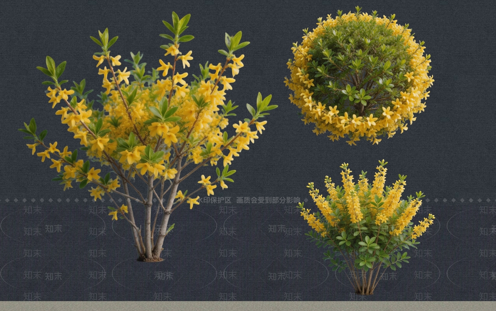 灌木SU模型下载【ID:1228741381】