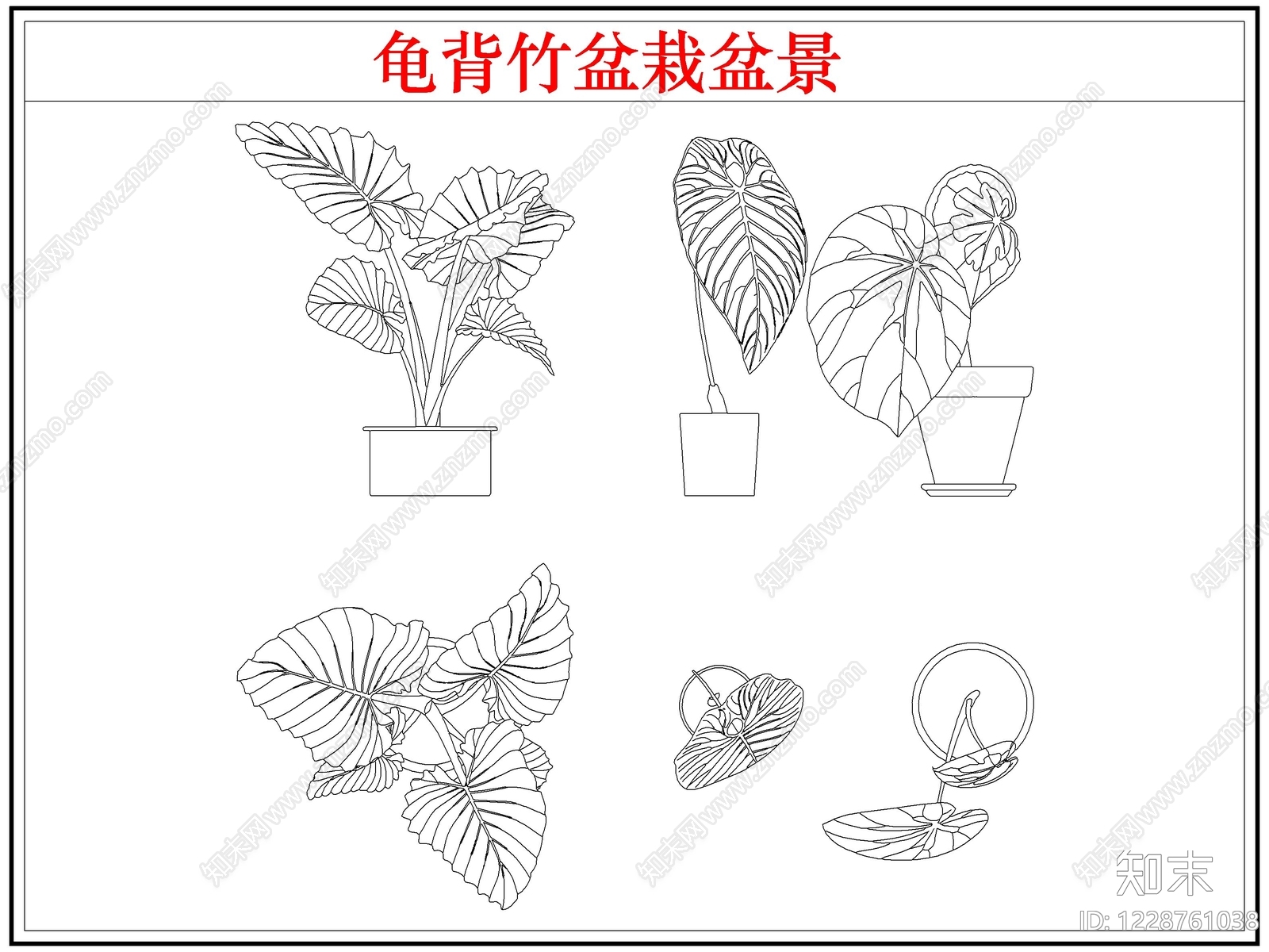 绿植cad施工图下载【ID:1228761038】