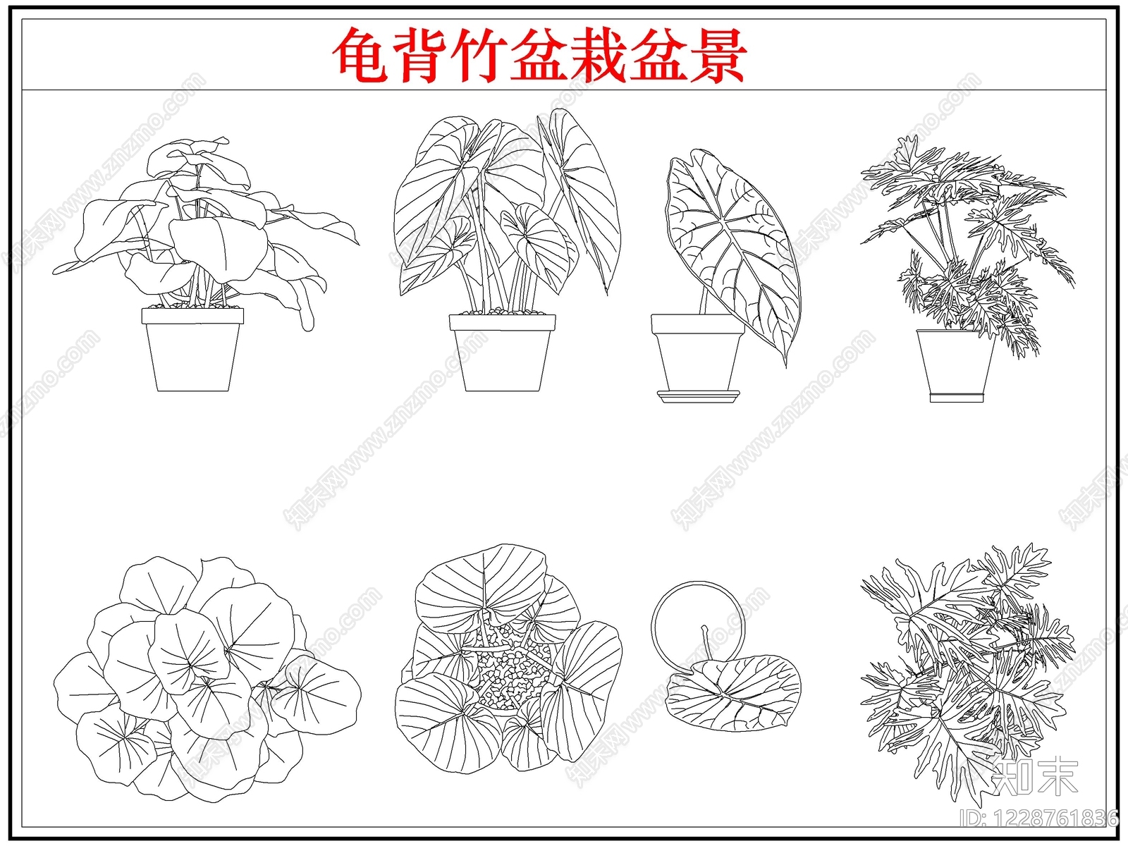 绿植cad施工图下载【ID:1228761836】