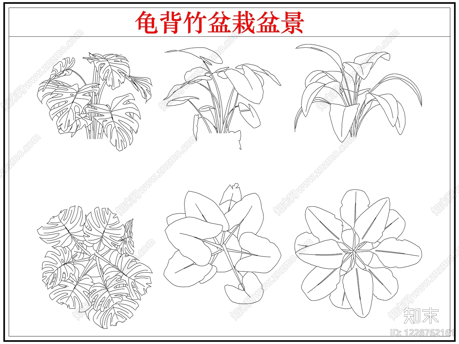 绿植CAD图纸
