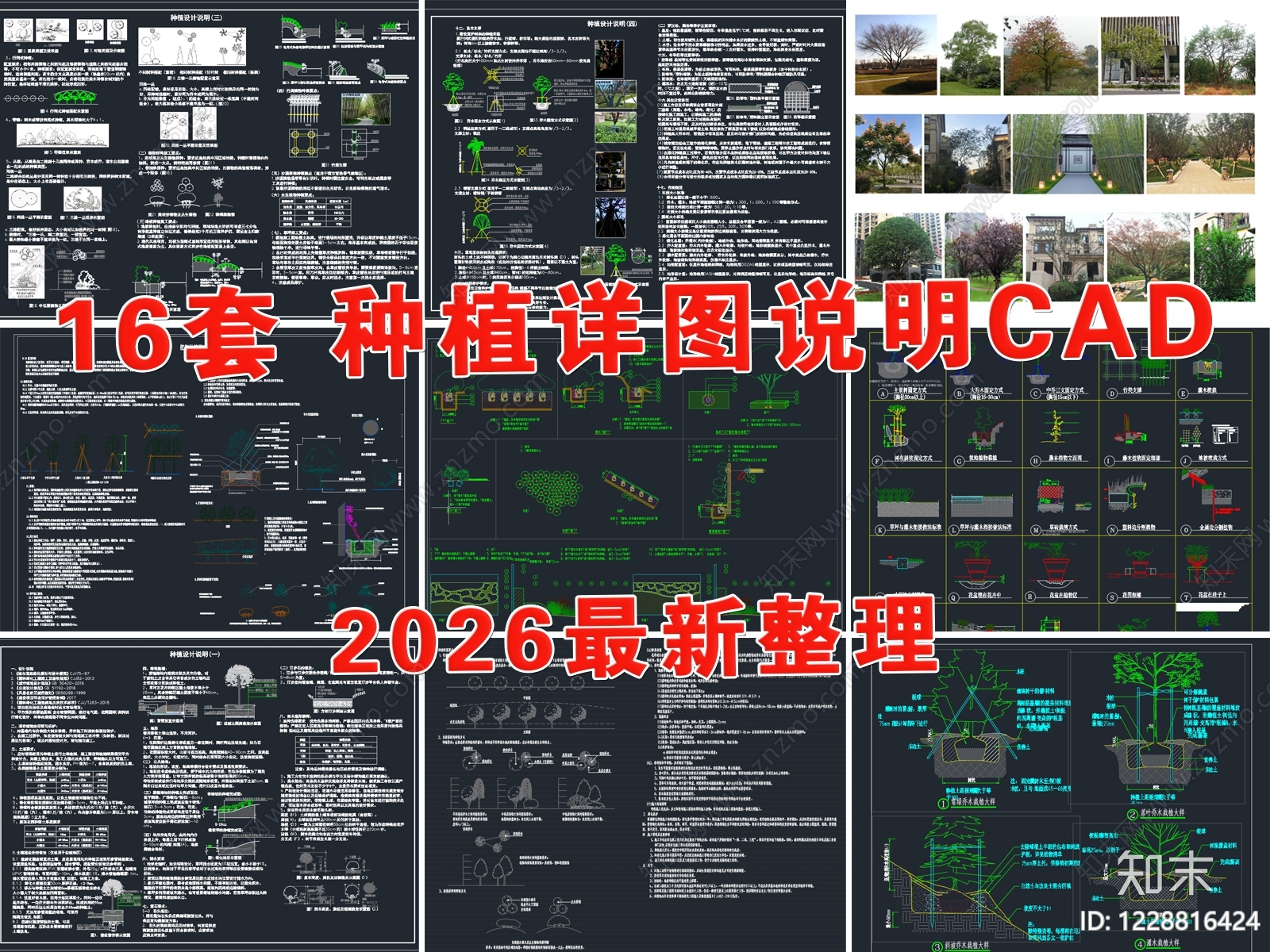 植物图例库CAD图纸
