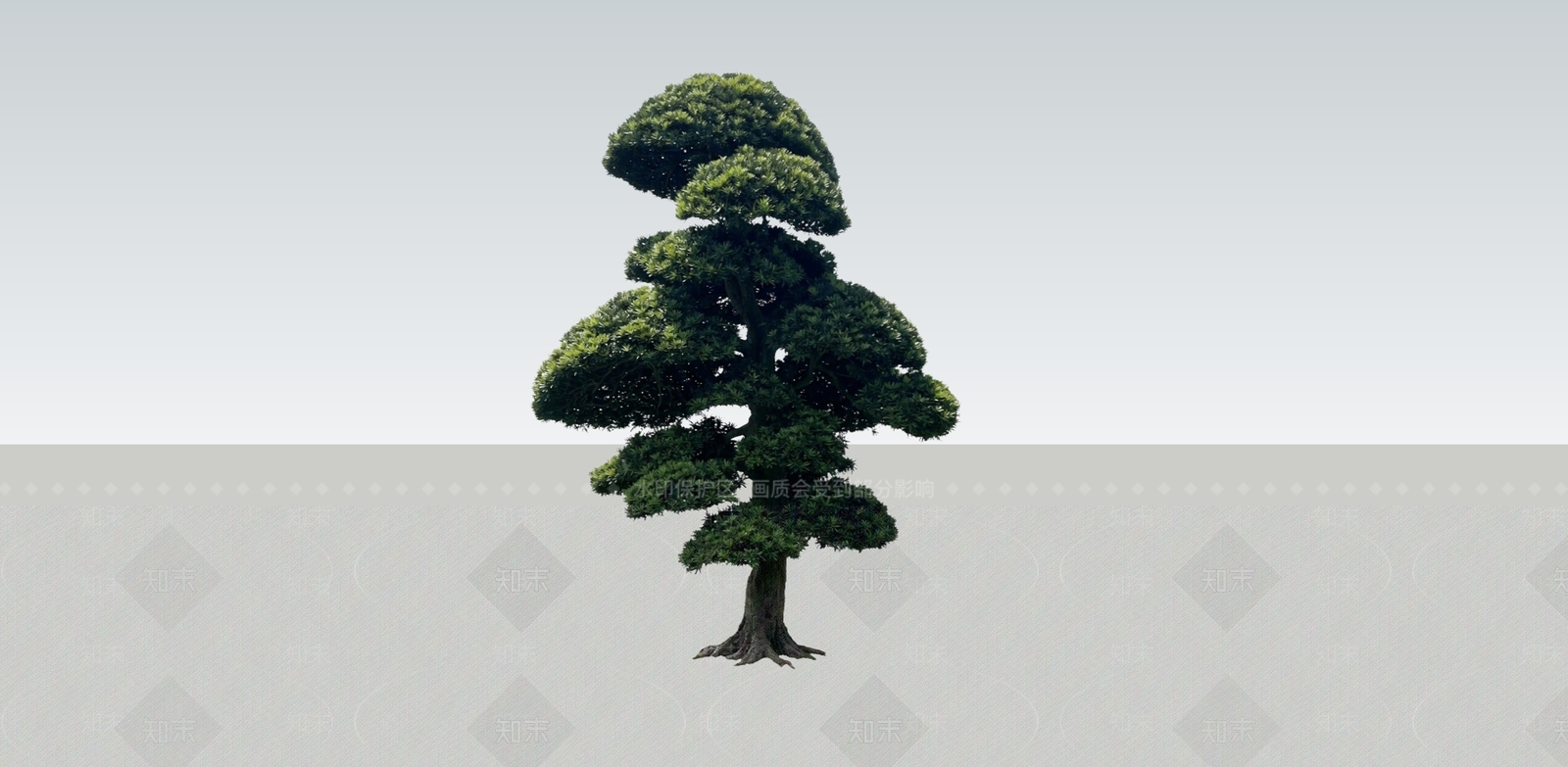 禅意乔木SU模型下载【ID:1228867647】