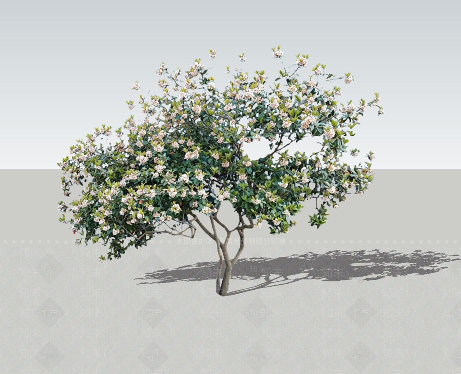 灌木SU模型下载【ID:1228955395】