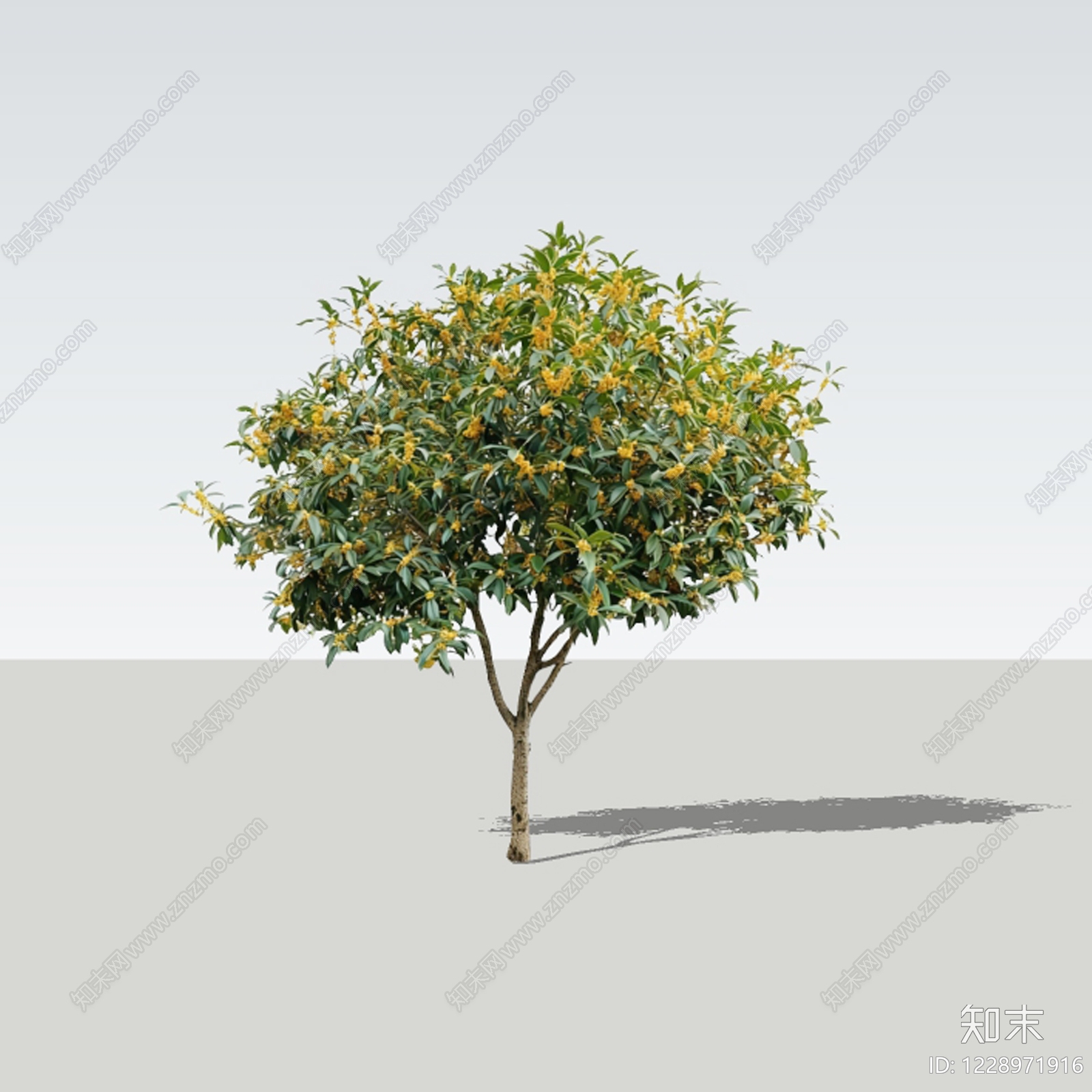 极简乔木SU模型下载【ID:1228971916】